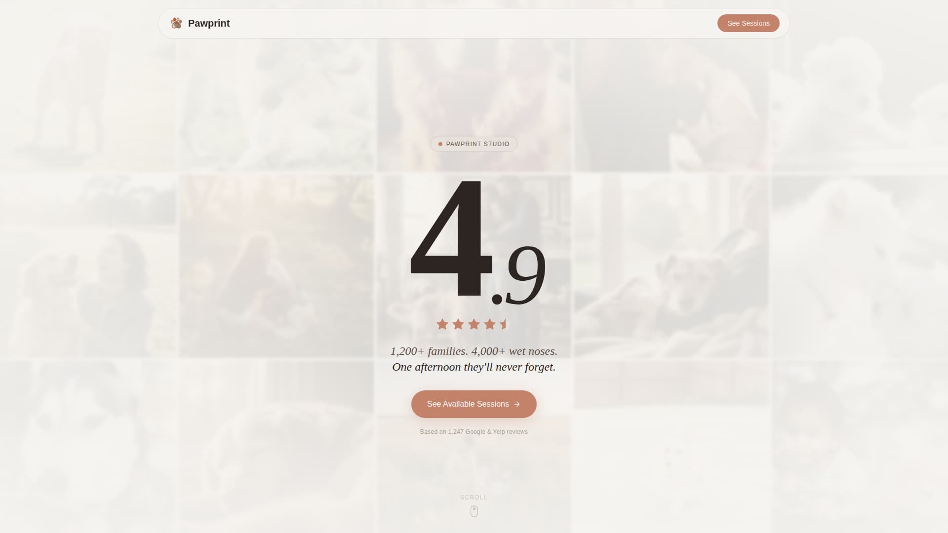 Pet Photography Booking Website Template