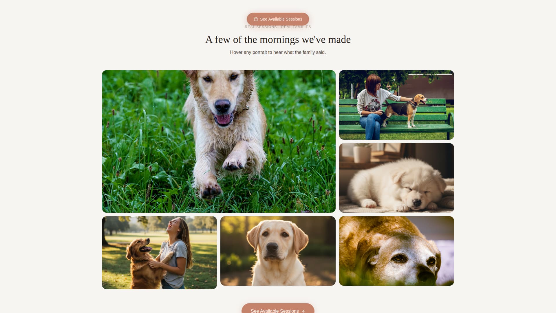 Pet Photography Booking Website Template