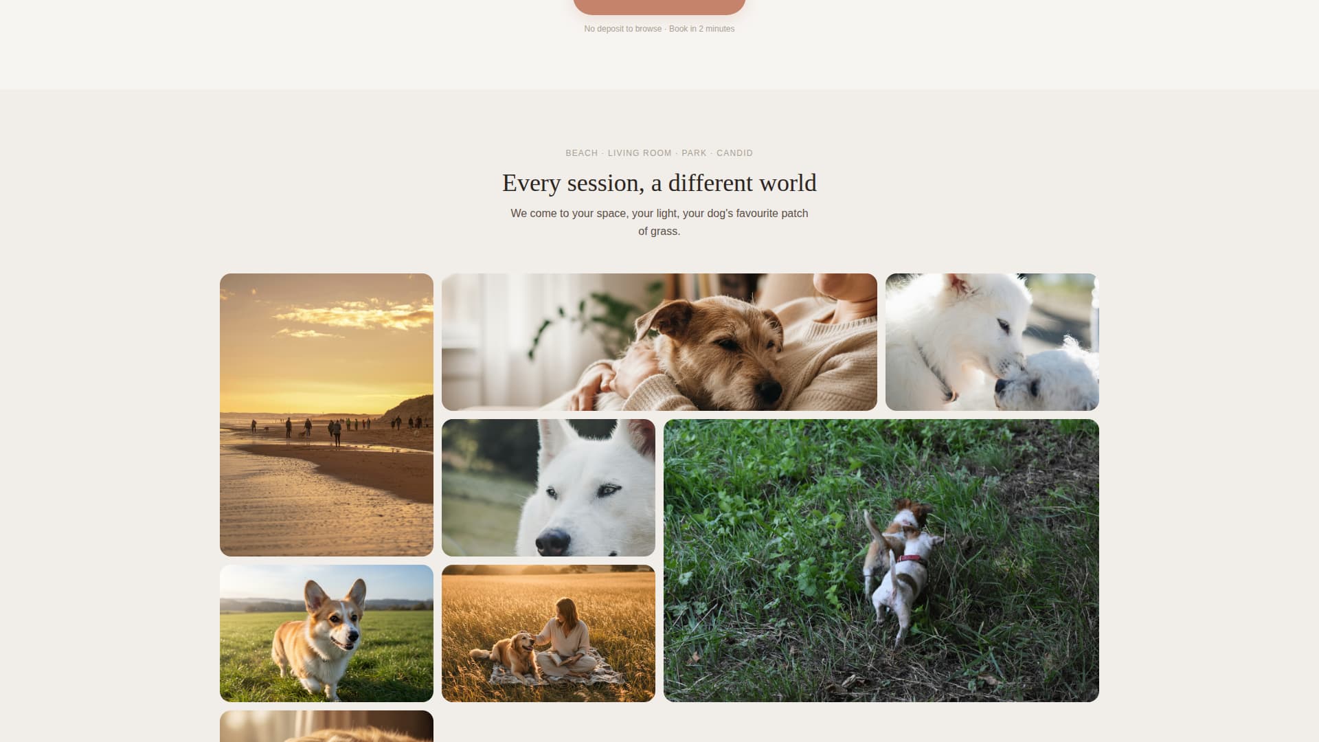 Pet Photography Booking Website Template