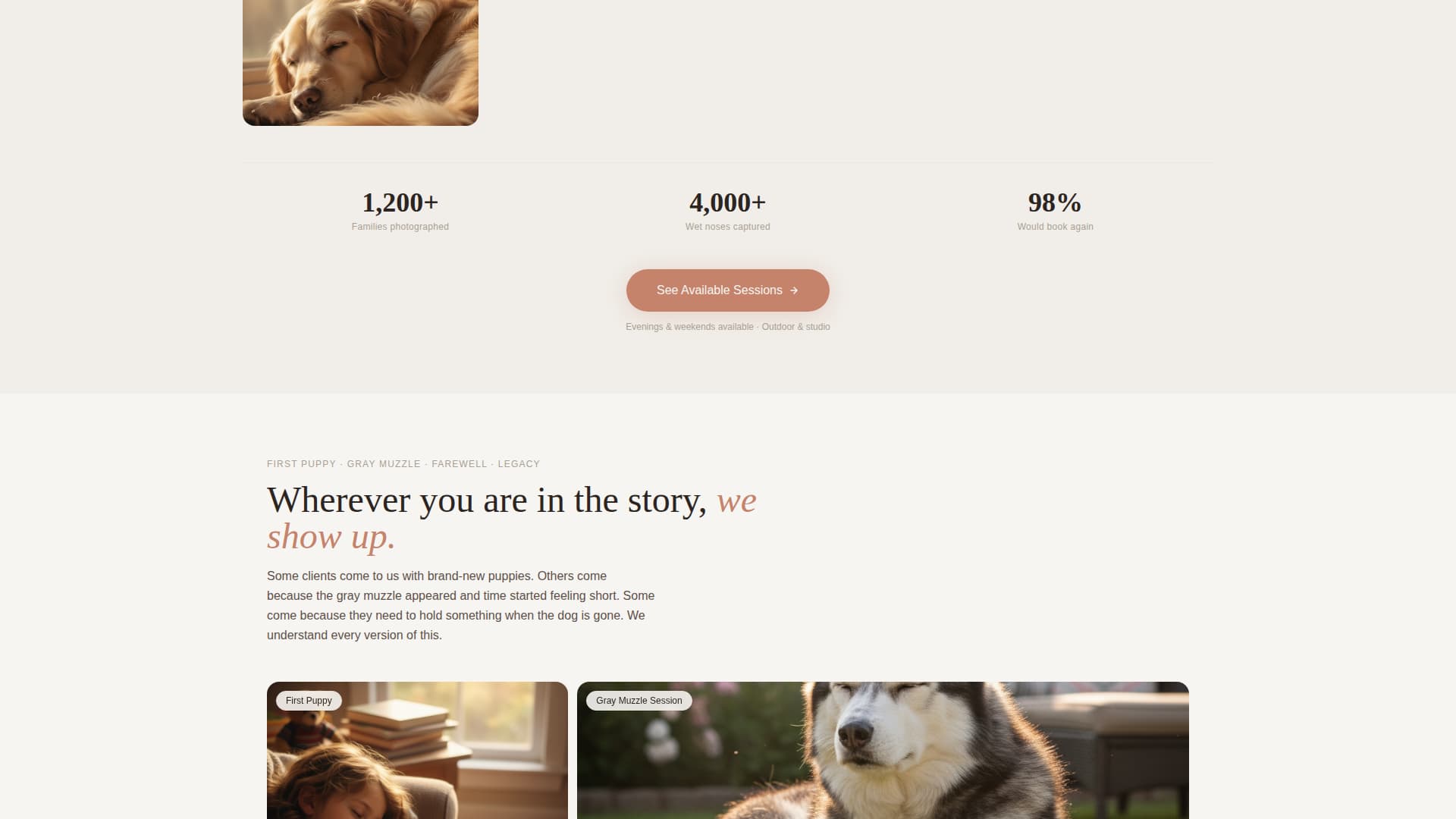 Pet Photography Booking Website Template