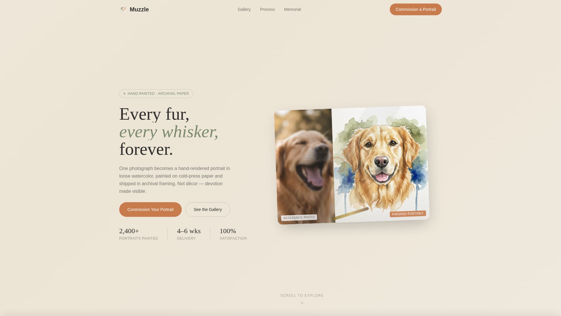 Pet Photography Reviews Website Template