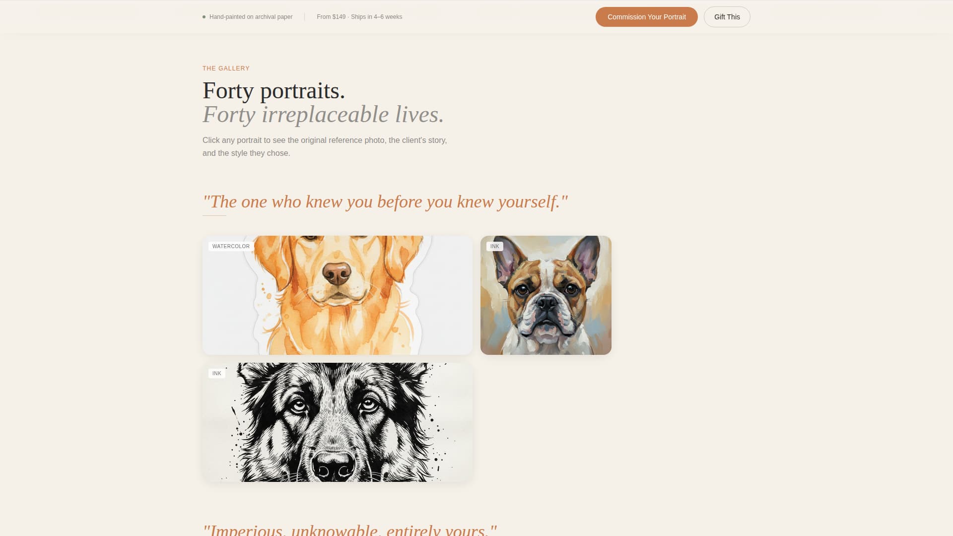 Pet Photography Reviews Website Template