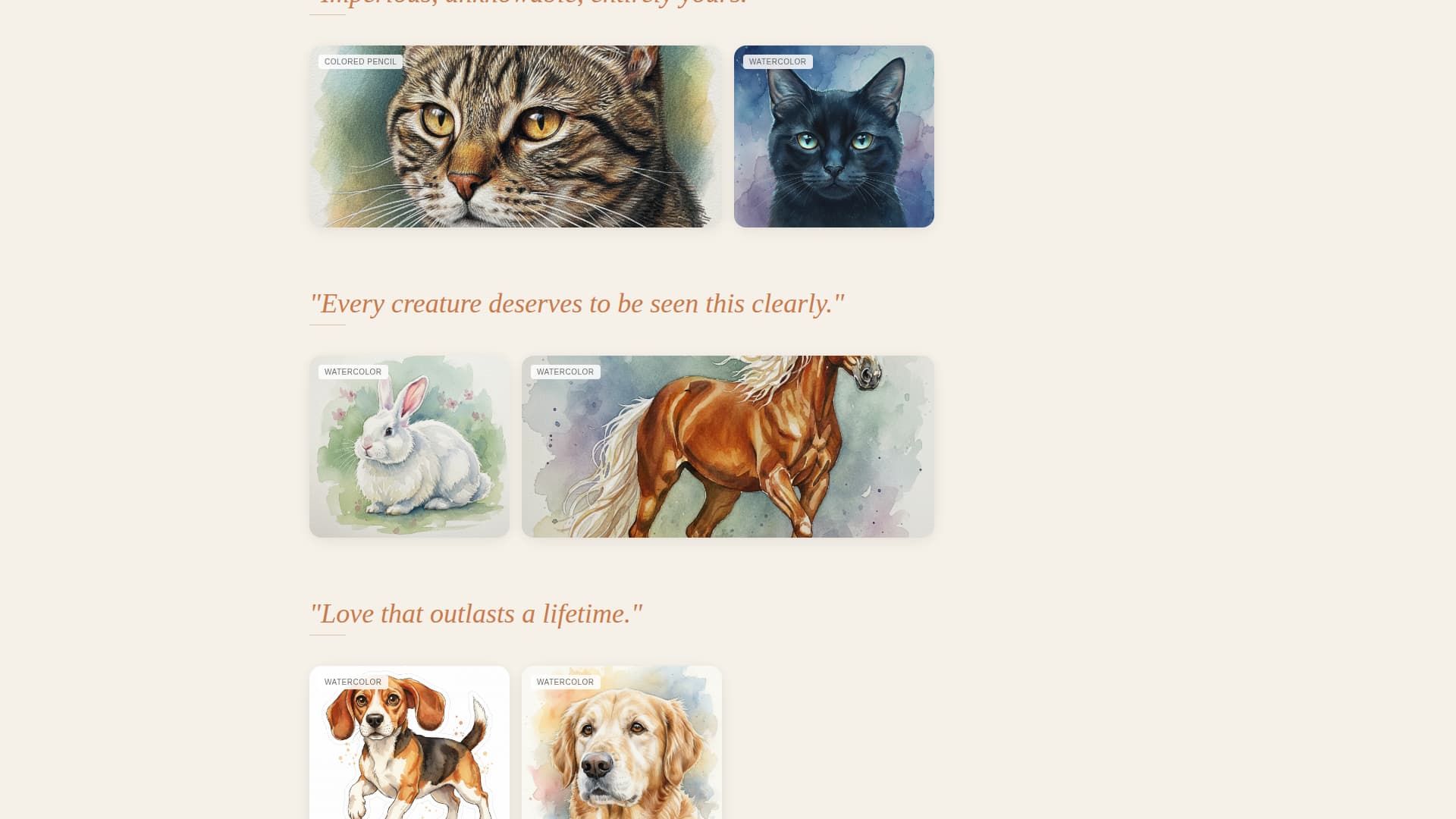 Pet Photography Reviews Website Template