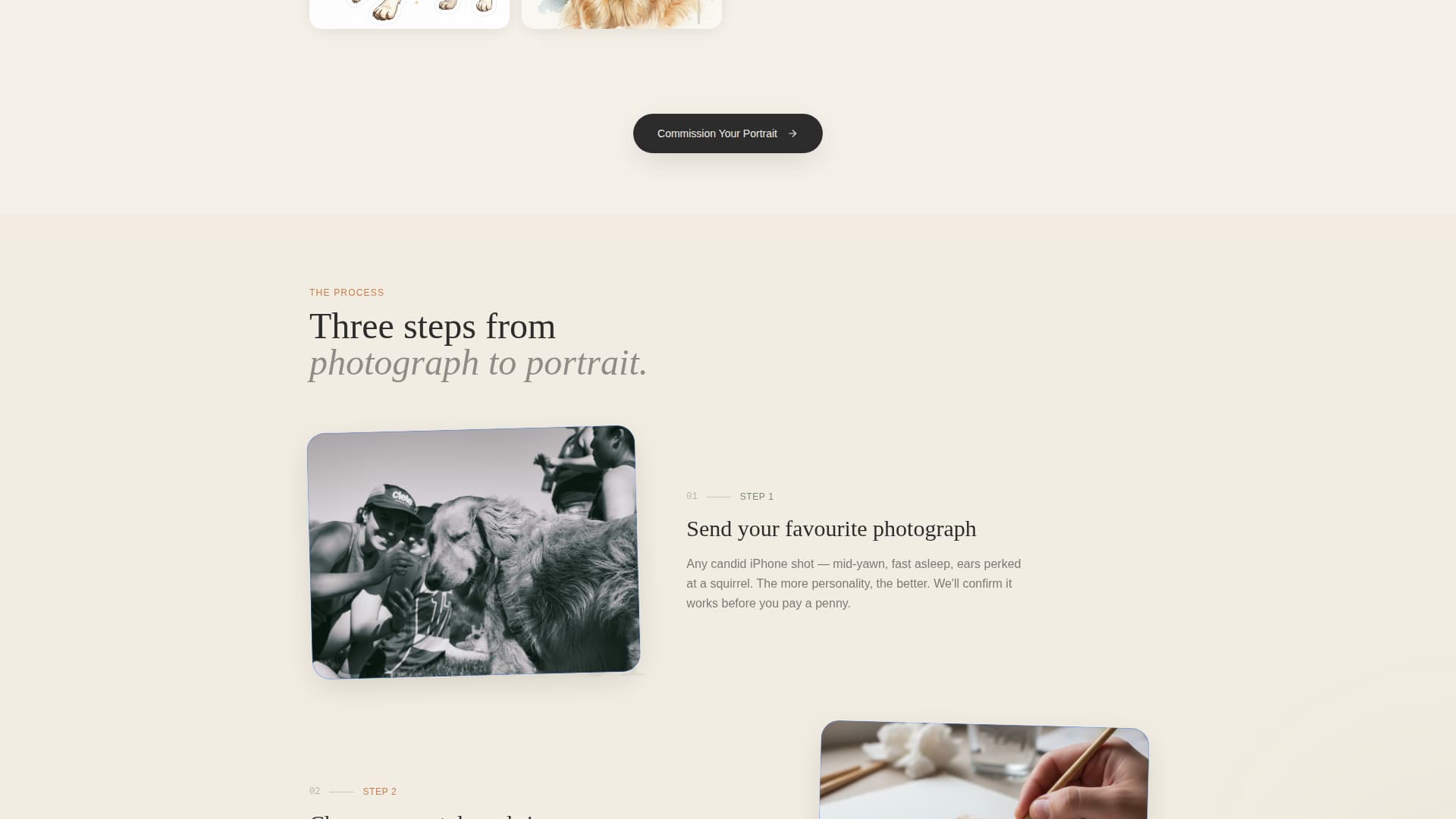 Pet Photography Reviews Website Template