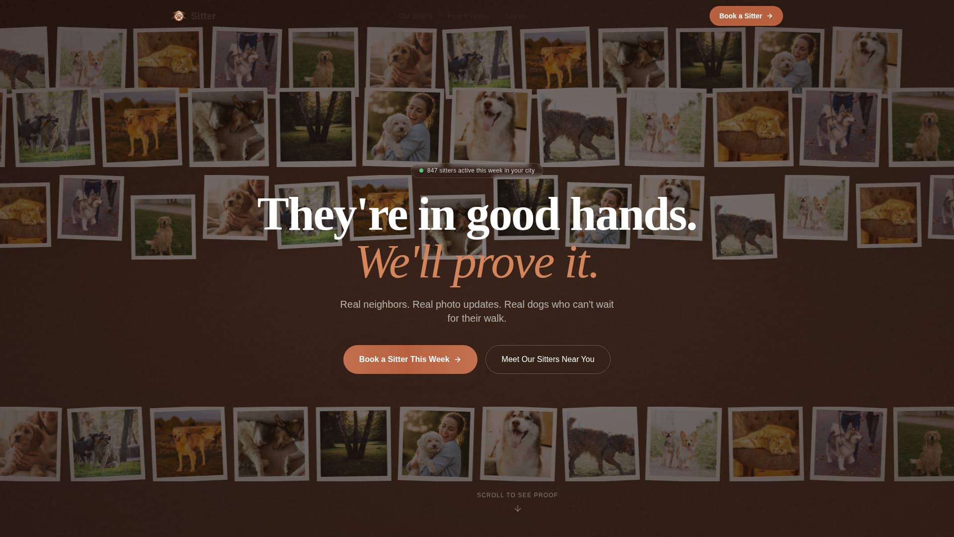 Local Pet Boarding & Daycare Appointment Booking Website Template