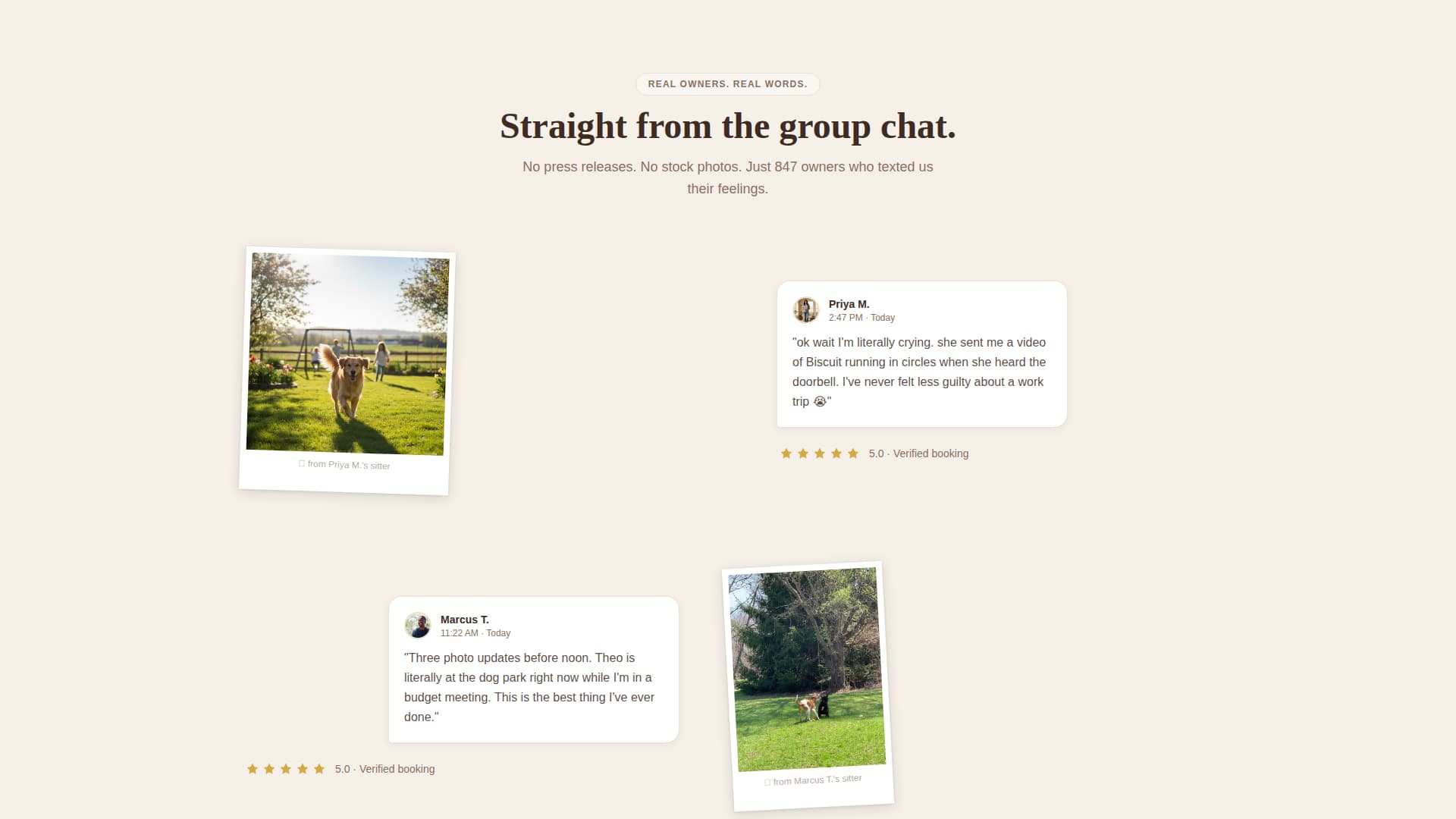 Local Pet Boarding & Daycare Appointment Booking Website Template
