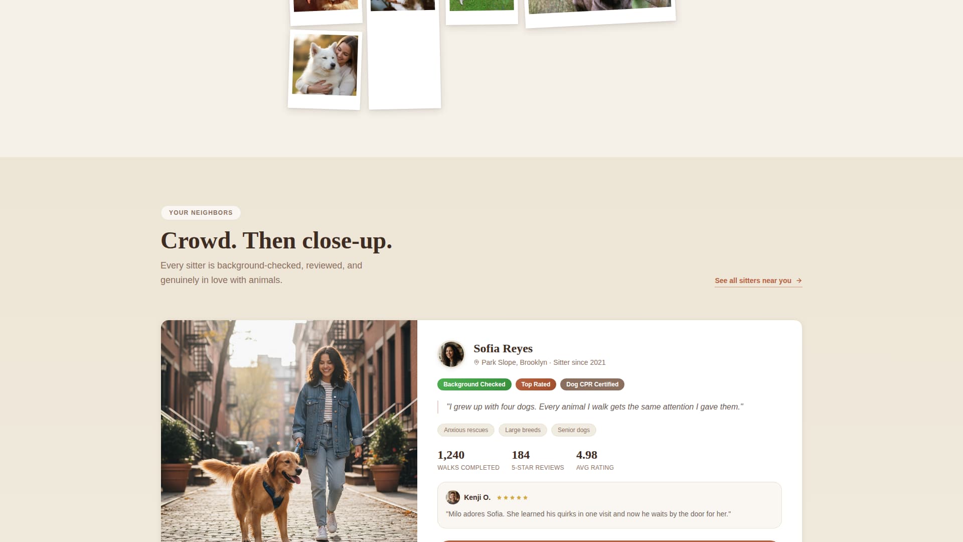 Local Pet Boarding & Daycare Appointment Booking Website Template