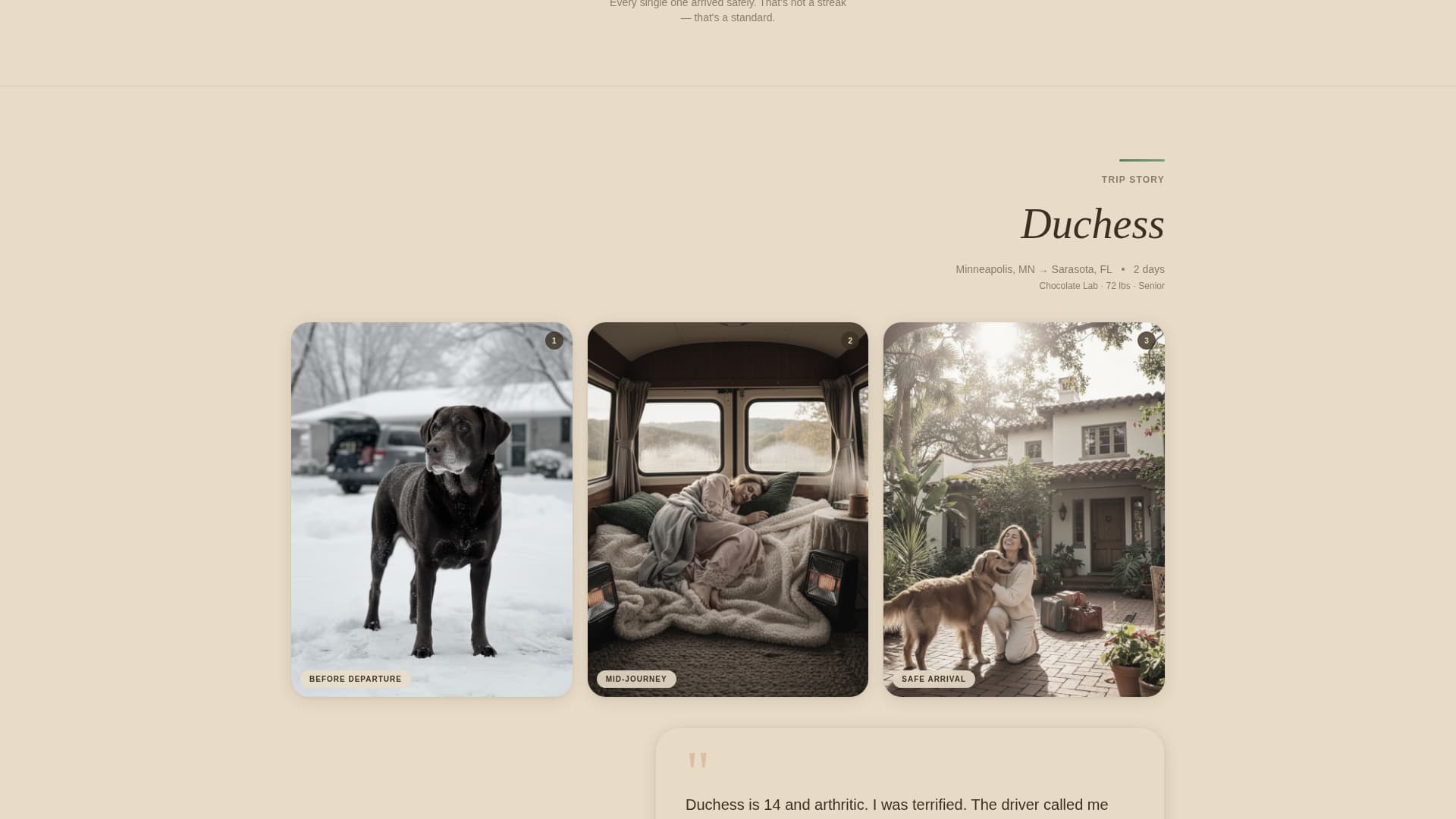 Convoy - Trusted Pettransport Landing Page Template