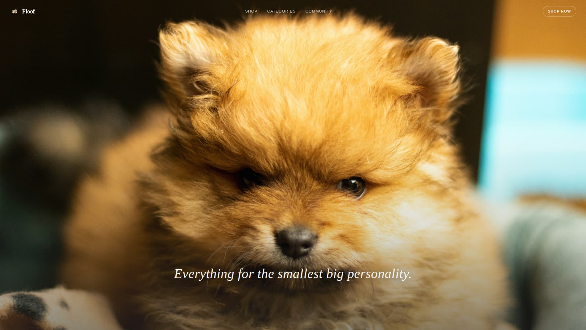 Floof - Curated Pomeranian Landing Page Template