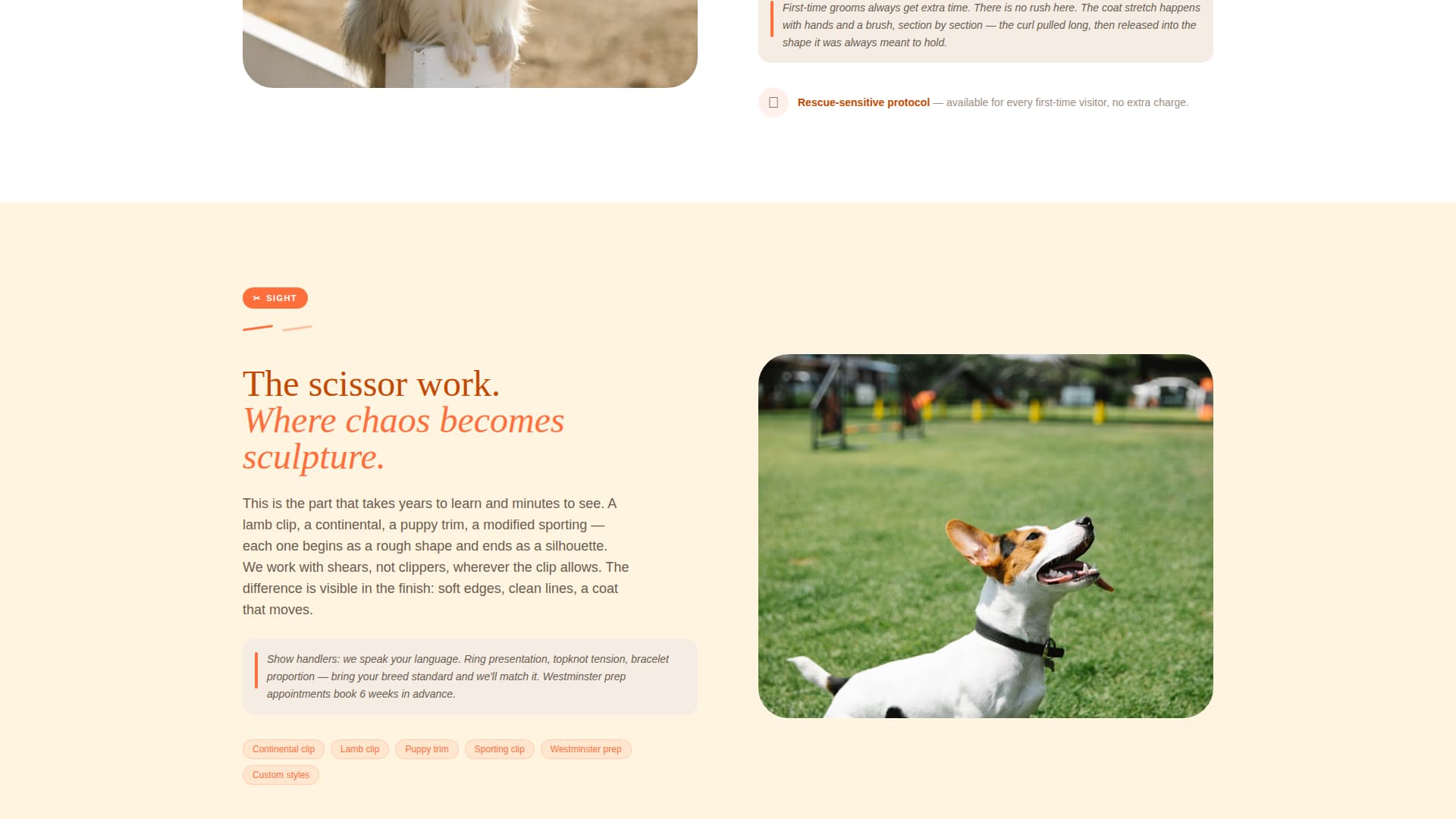 Dog Booking Website Template