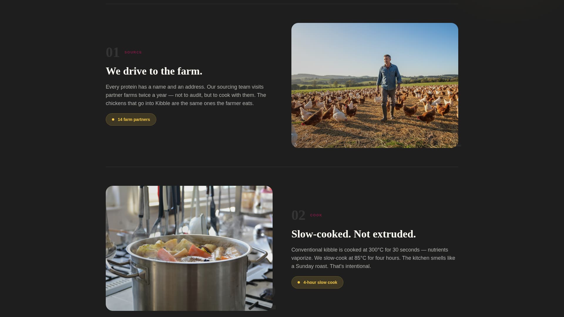 Pet Food & Treat Brand Booking Website Template