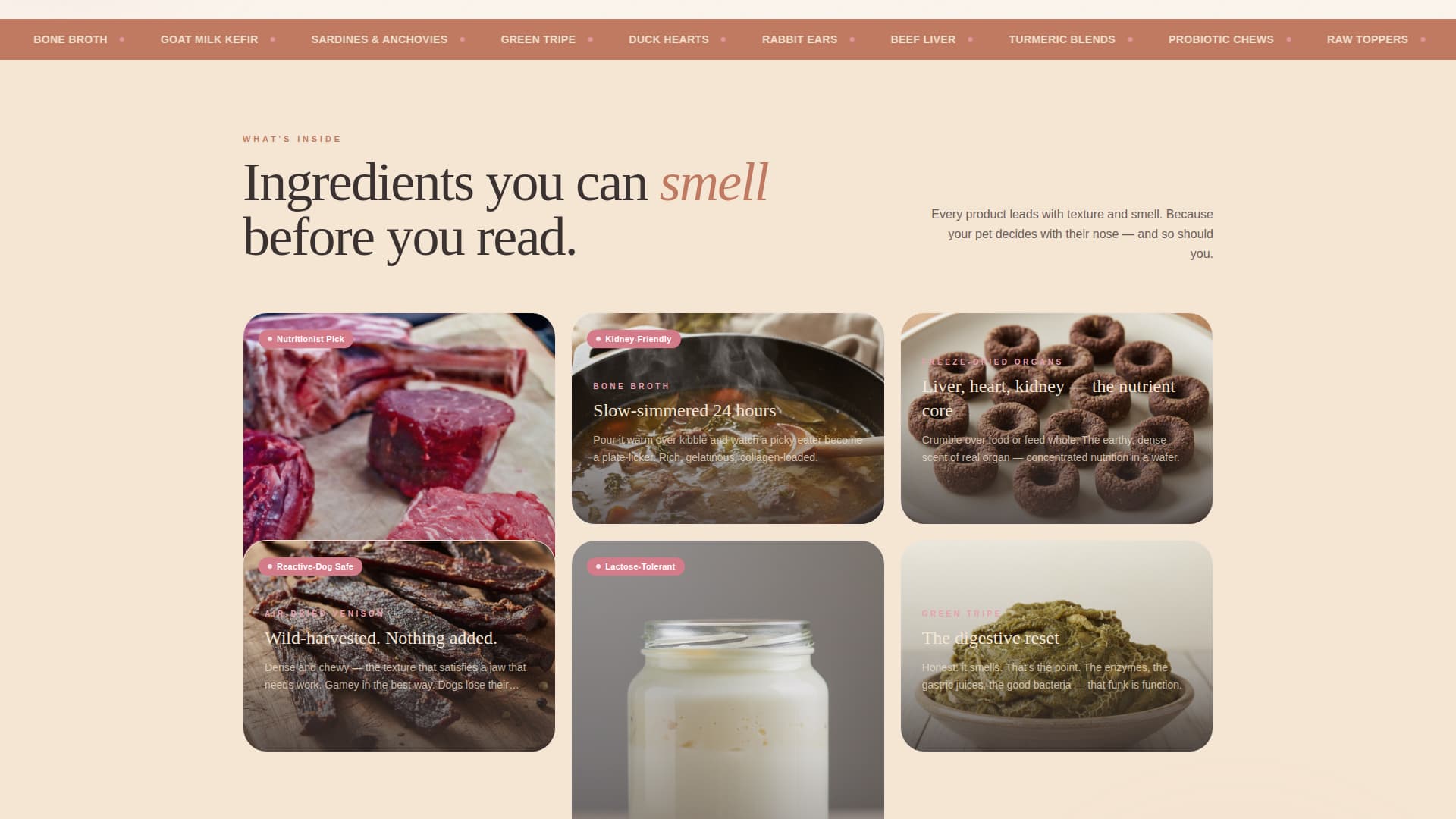 Pet Store & Supply Booking Website Template