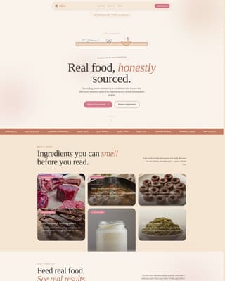 Pet Store & Supply Booking Website Template