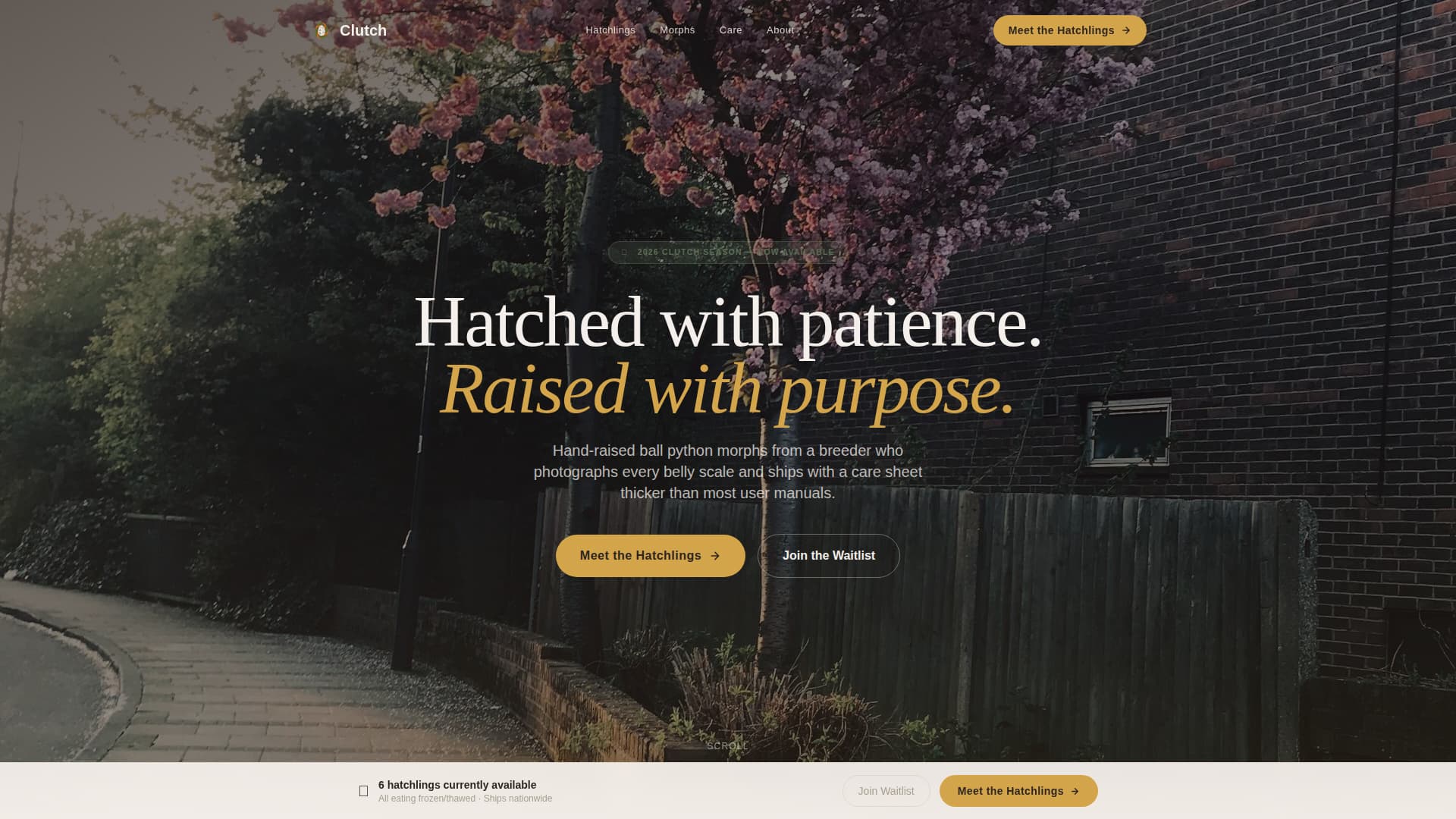 Clutch - Warm Reptilebreeder Landing Page Template