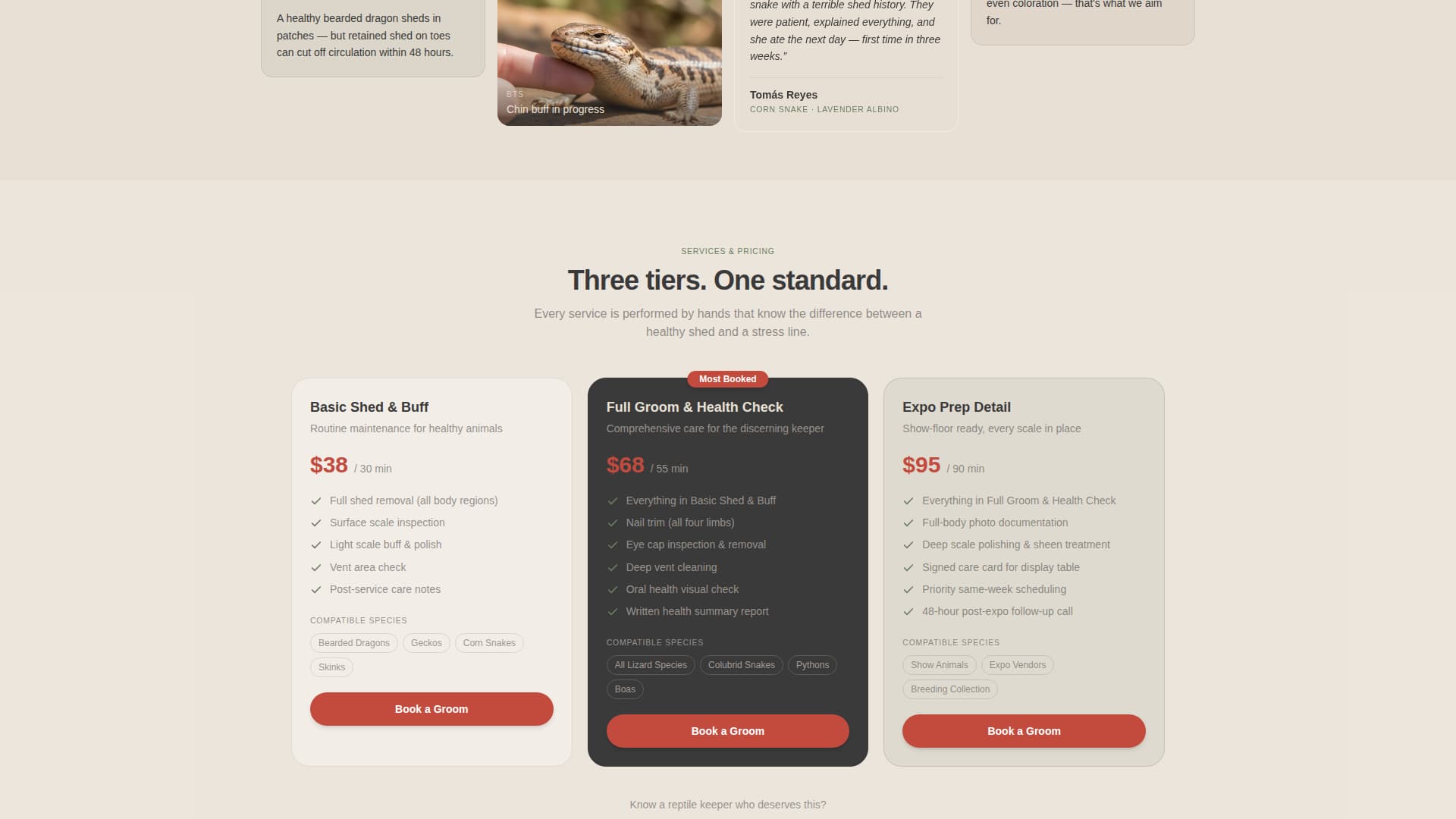 Shed - Serene Reptile Landing Page Template