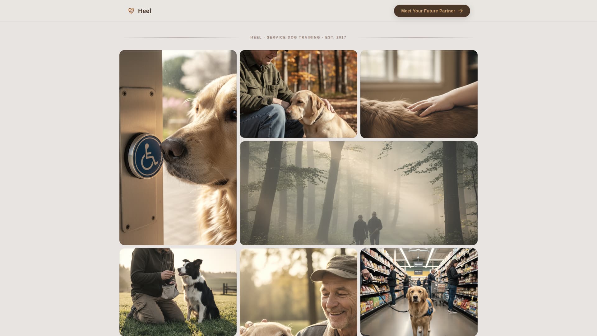 Advanced Pet Training & Behavior Portfolio & Case Study Website Template