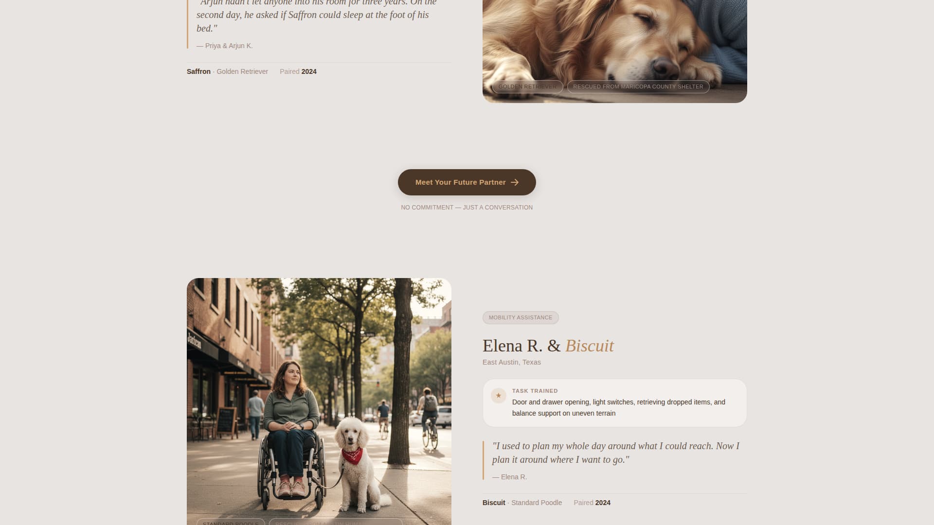 Advanced Pet Training & Behavior Portfolio & Case Study Website Template