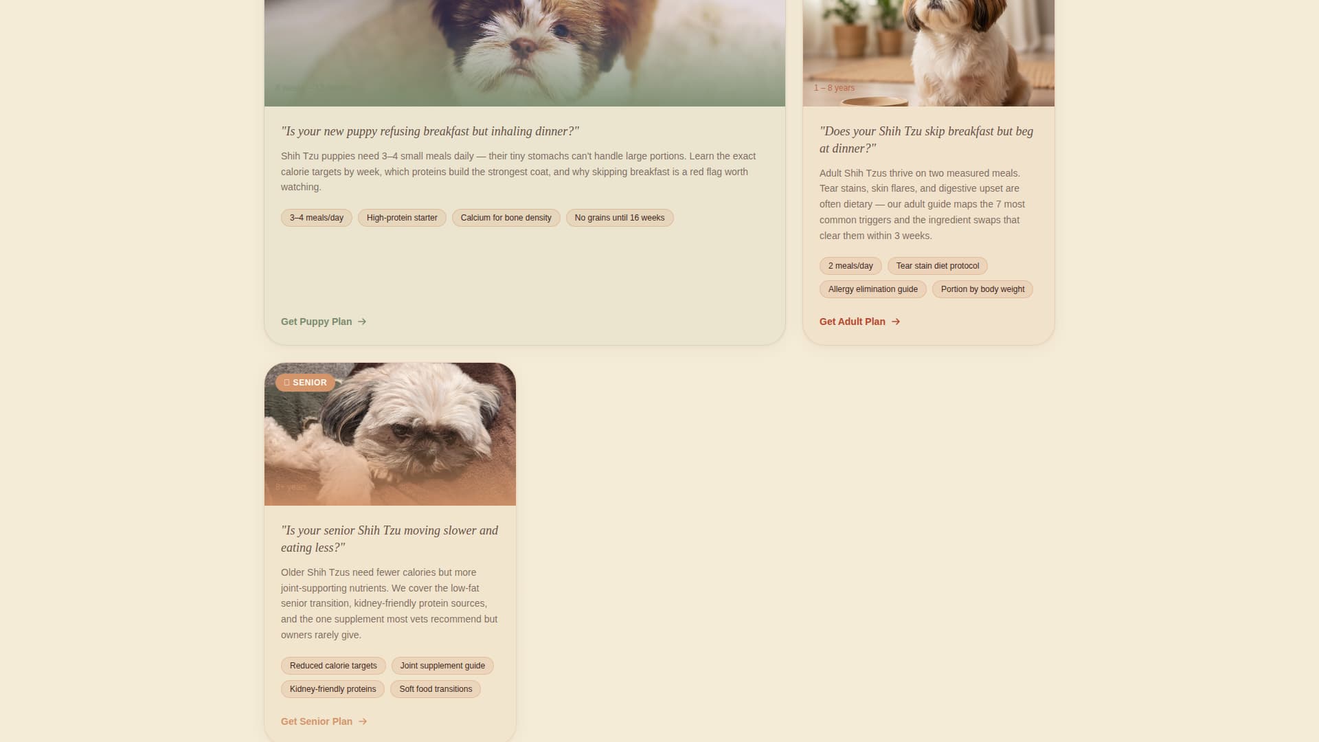 Kibble - Wholesome Shihtzu Landing Page Template