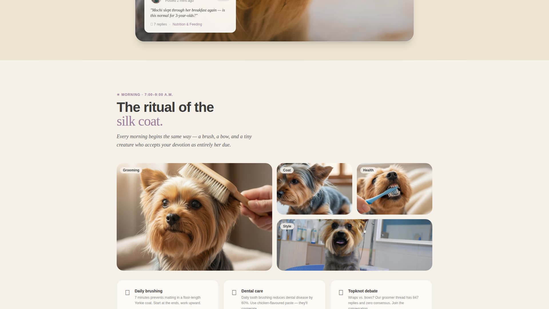 Yorkiehub - Heartwarming Community Landing Page Template
