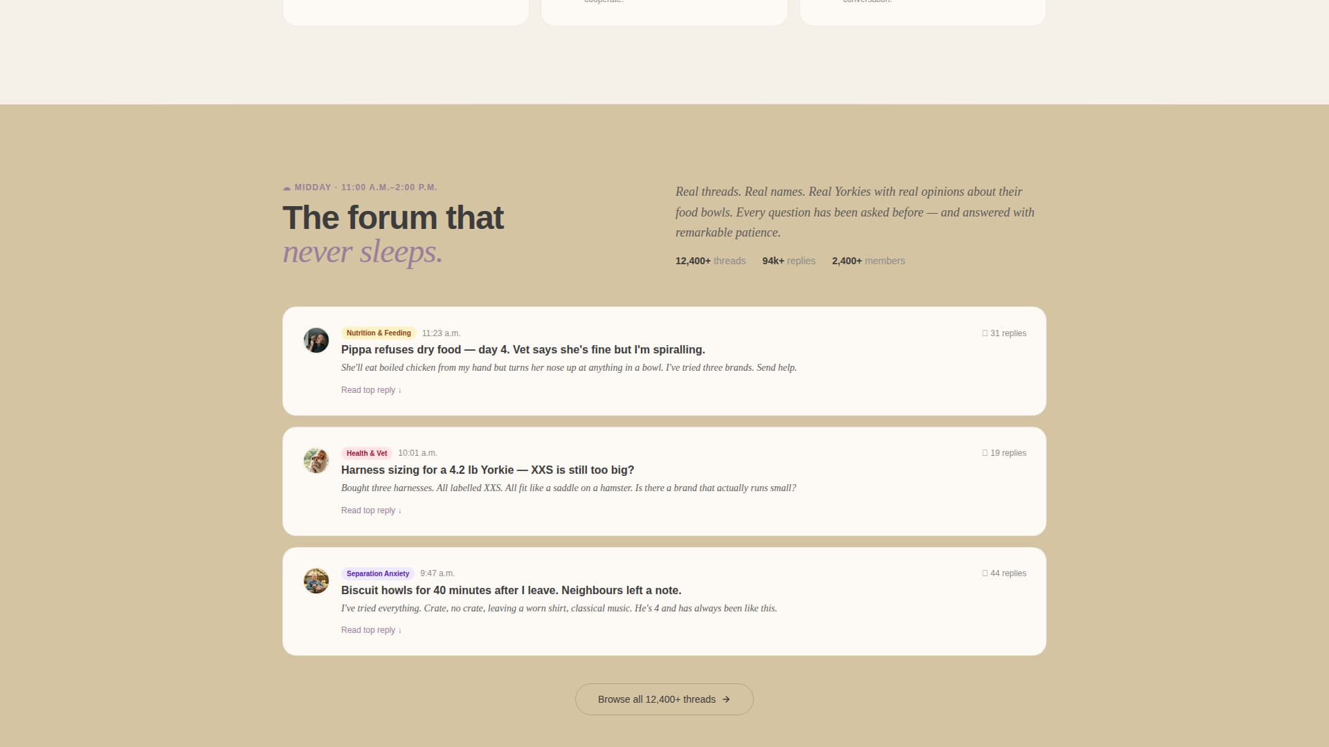 Yorkiehub - Heartwarming Community Landing Page Template