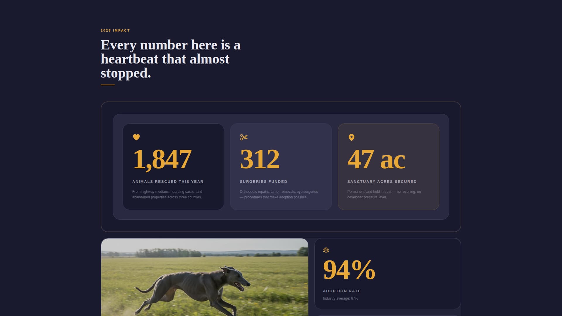 Specialist Charity & Fundraiser Profile Professional Website Template