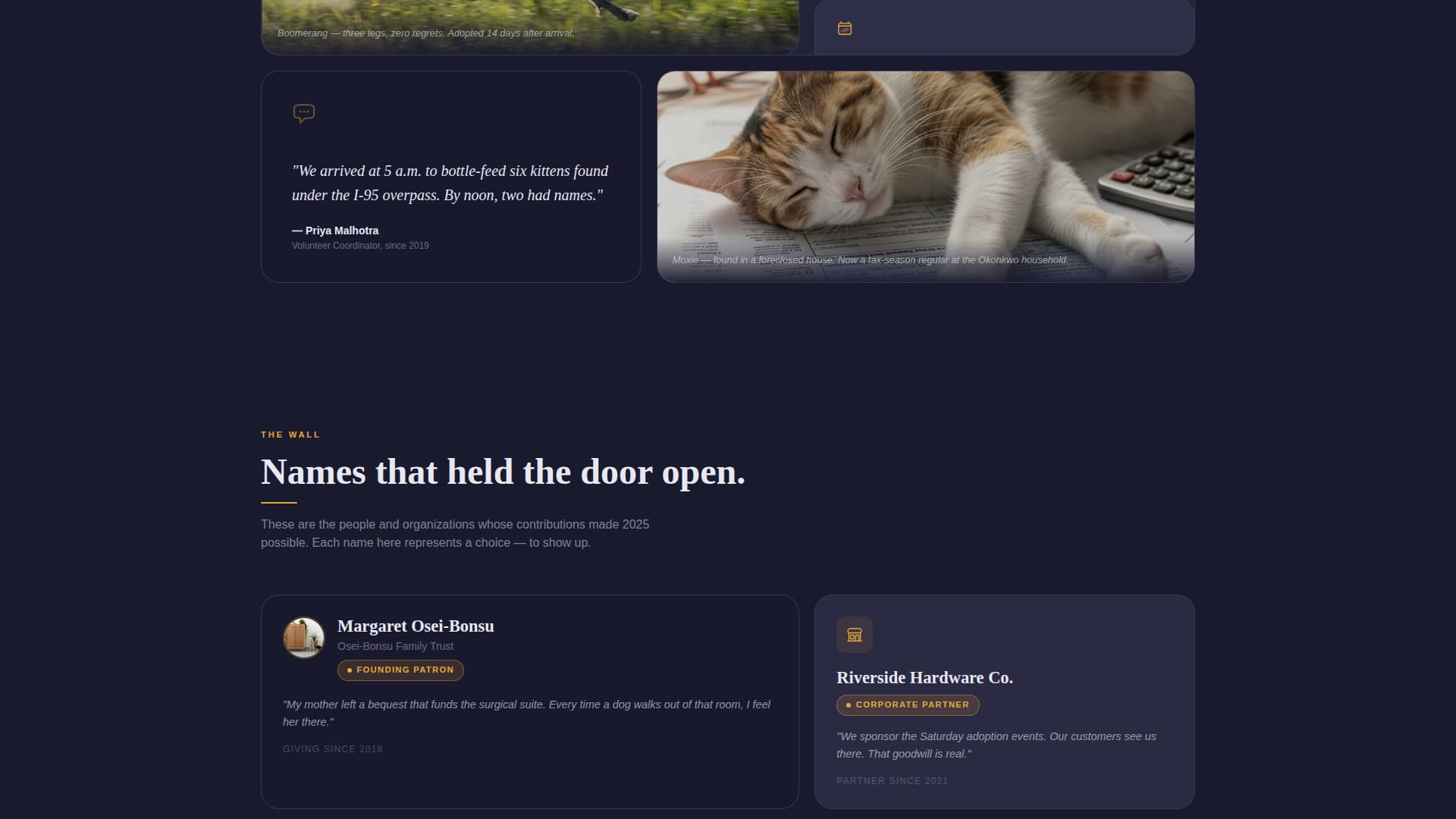 Specialist Charity & Fundraiser Profile Professional Website Template