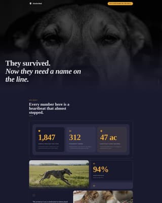 Specialist Charity & Fundraiser Profile Professional Website Template