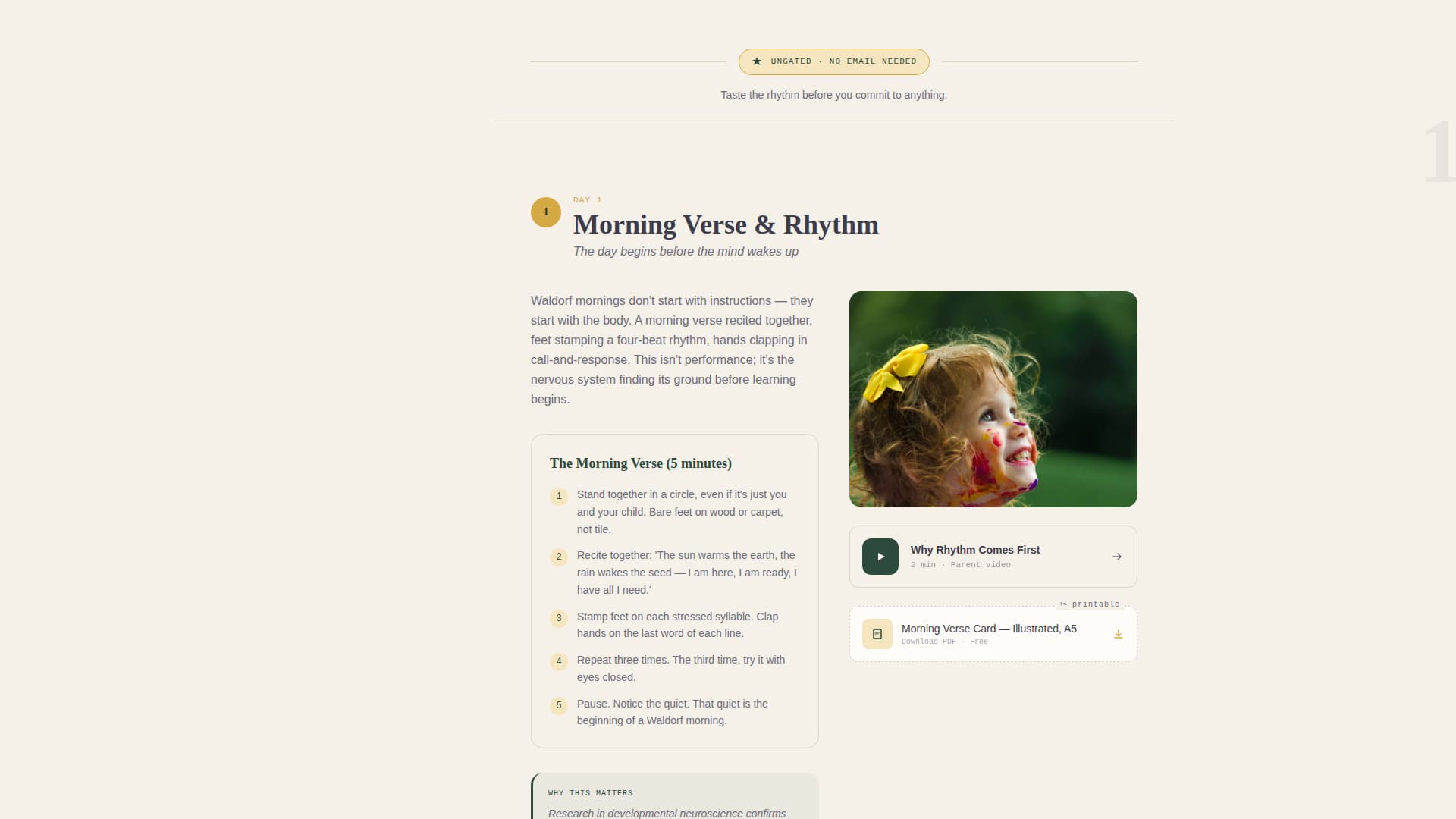School (K-12) Patient Education Website Template
