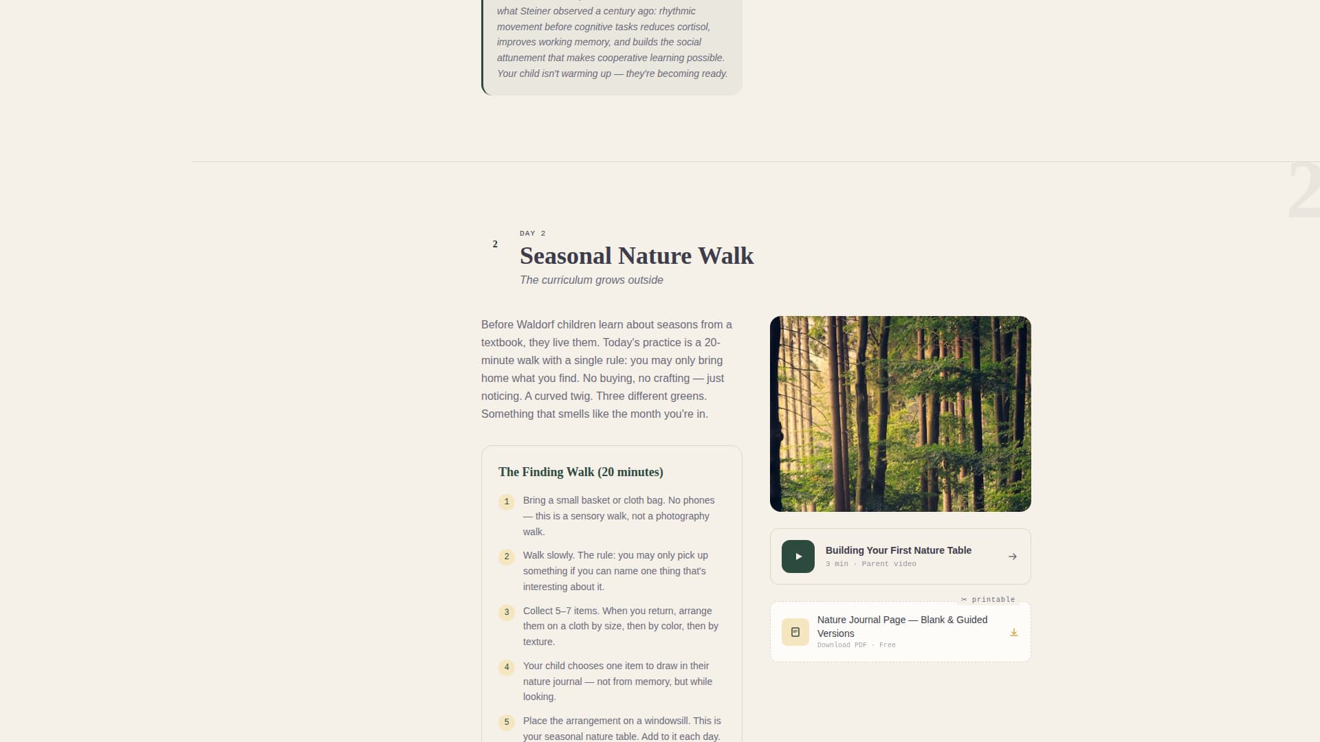 School (K-12) Patient Education Website Template
