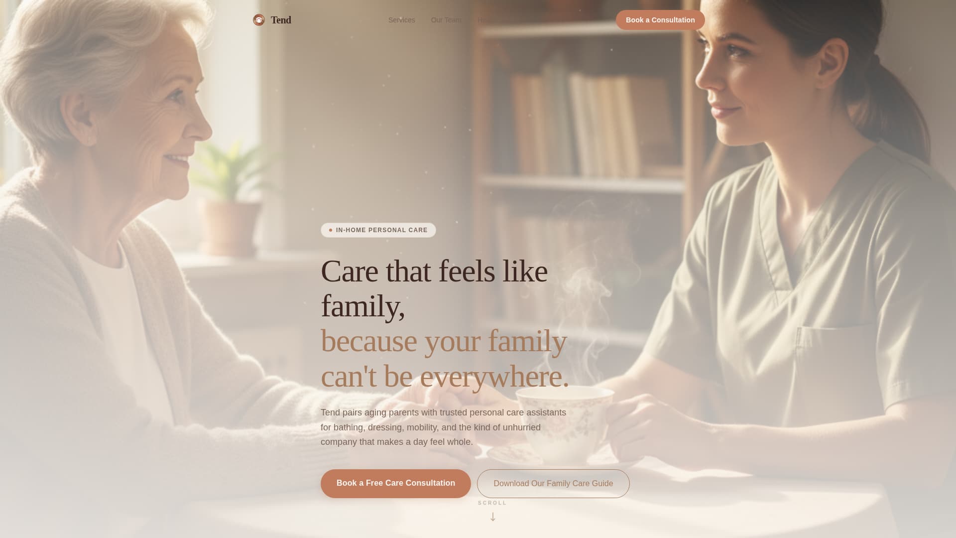 Tend - Trusted Seniorcare Landing Page Template