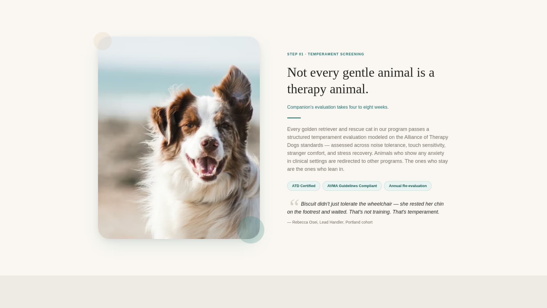 Companion - Trusted Seniorpet Landing Page Template