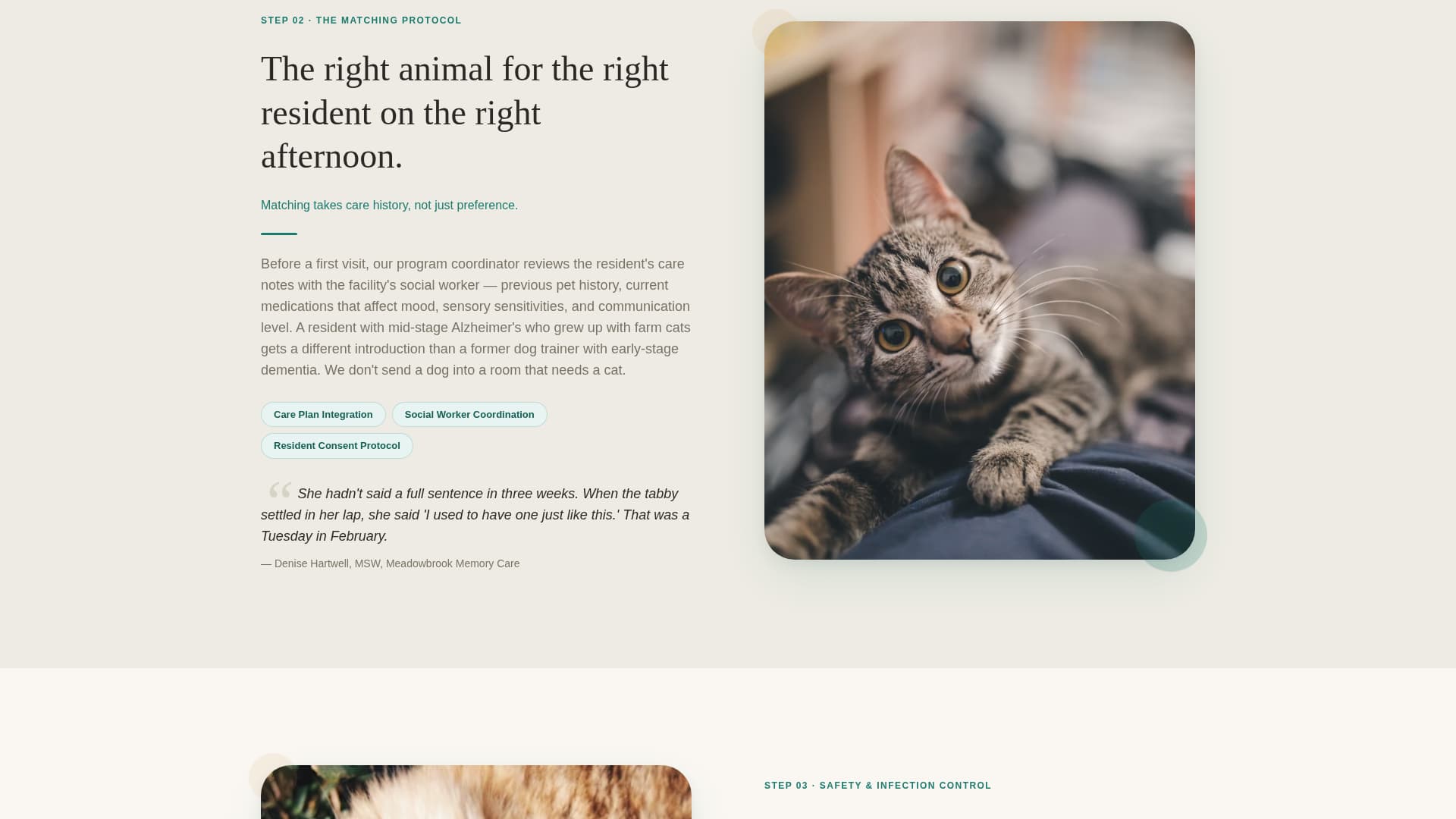 Companion - Trusted Seniorpet Landing Page Template