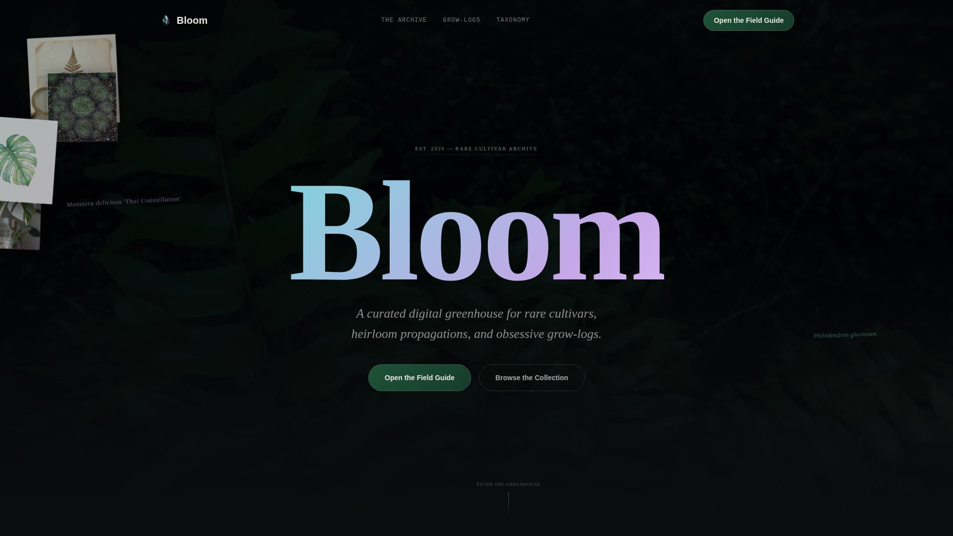 Specialist Side Project & Hobby Showcase Portfolio & Case Study Website Template