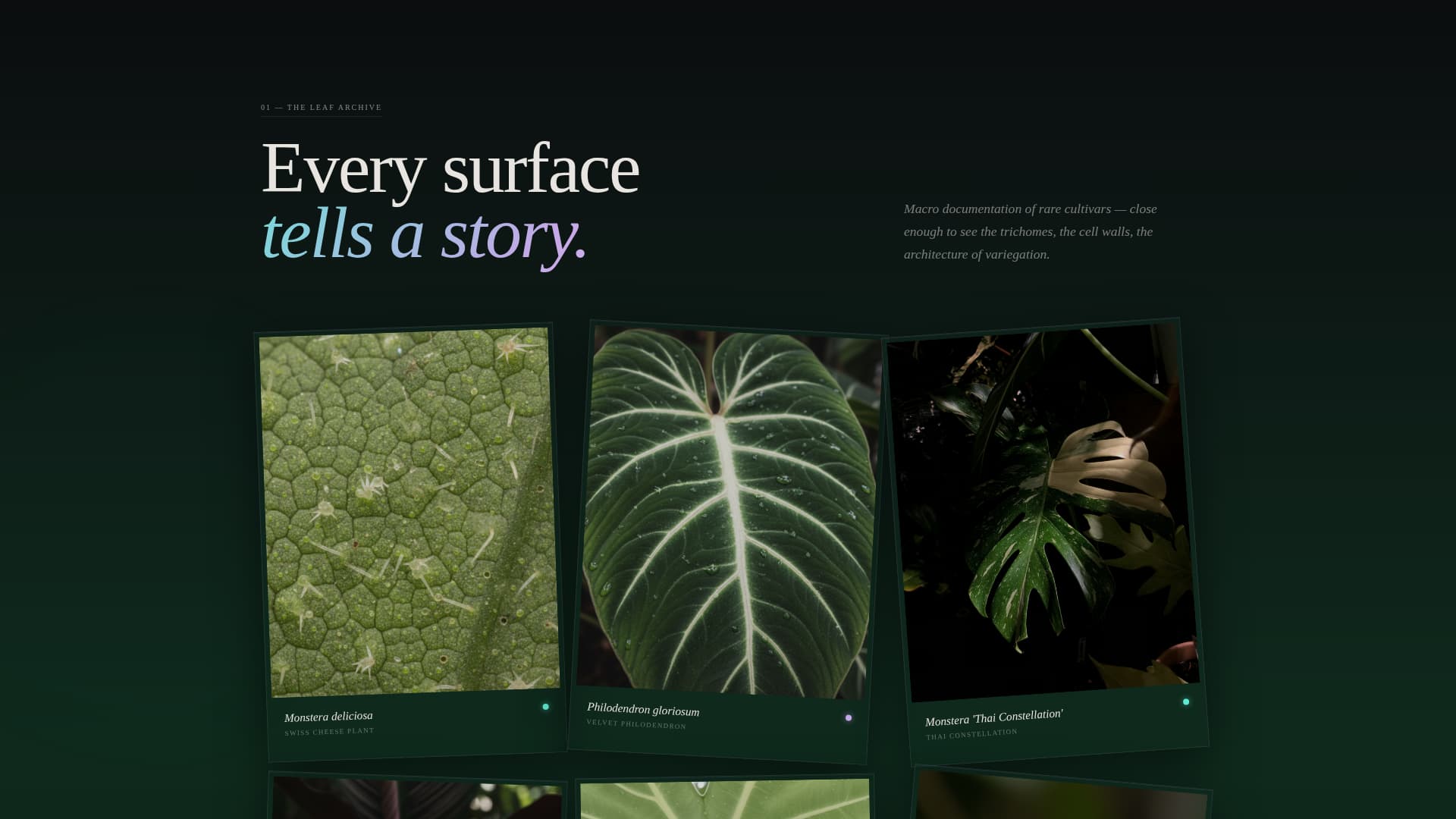 Specialist Side Project & Hobby Showcase Portfolio & Case Study Website Template