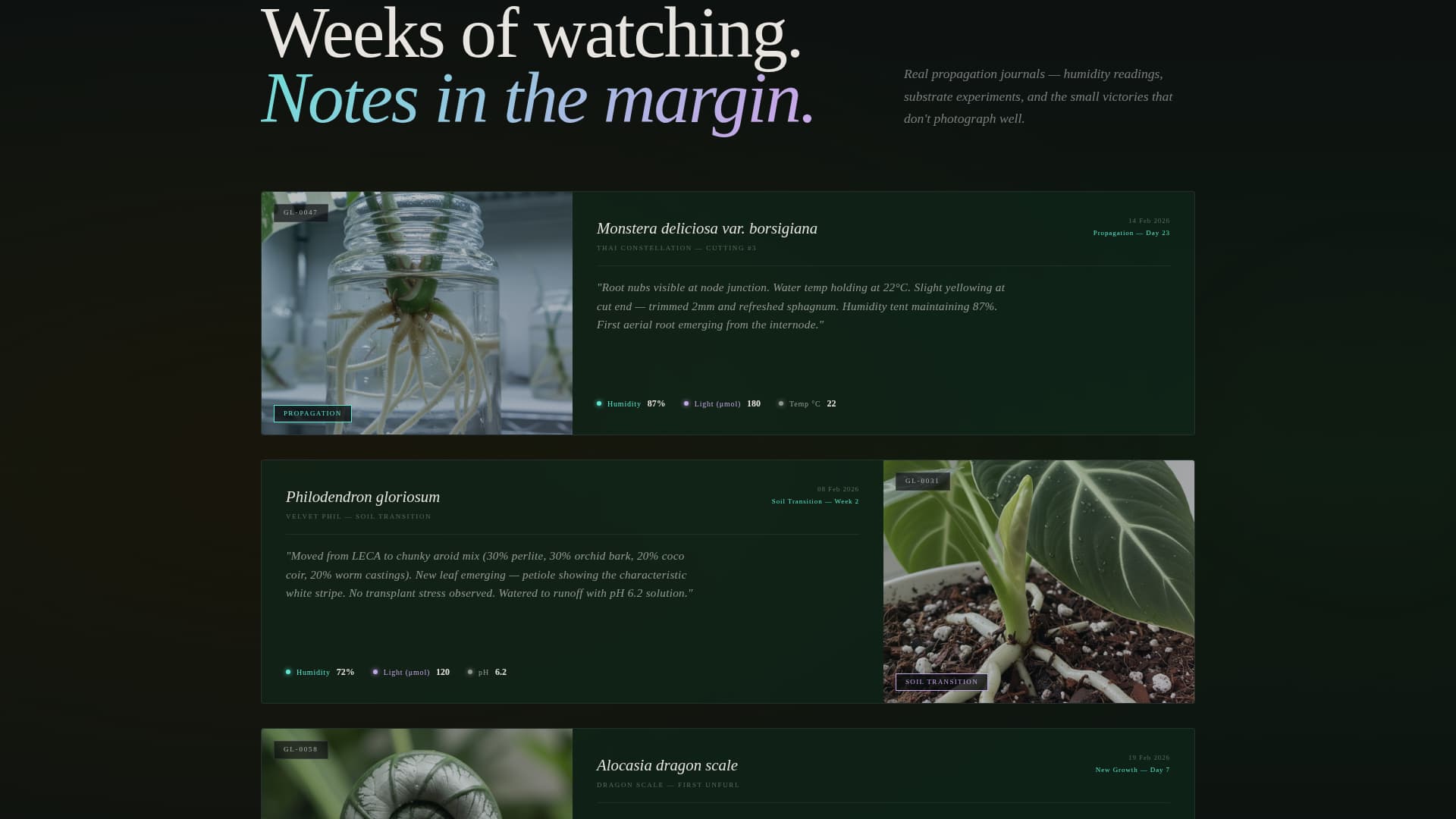 Specialist Side Project & Hobby Showcase Portfolio & Case Study Website Template
