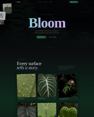 Specialist Side Project & Hobby Showcase Portfolio & Case Study Website Template