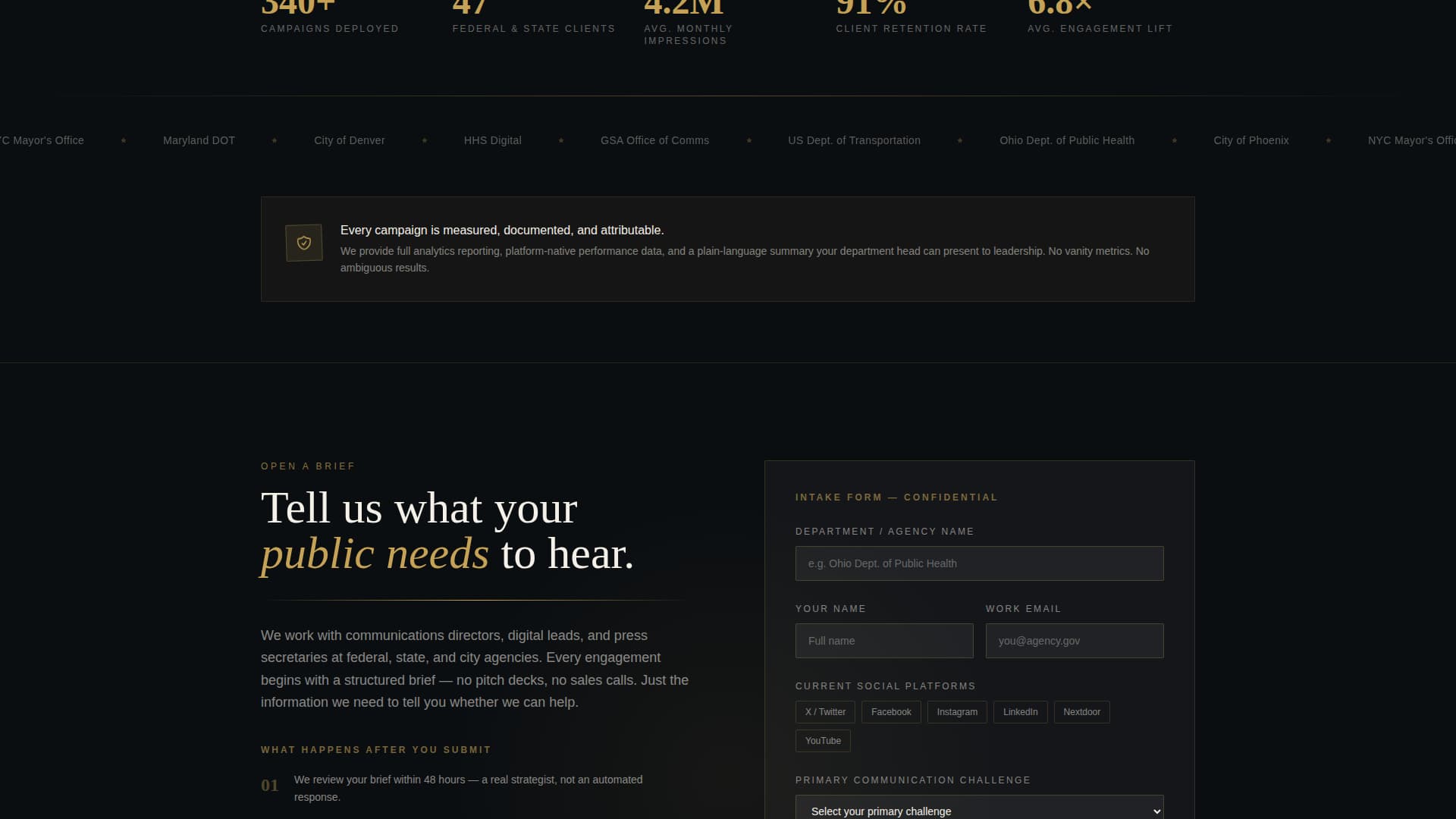 Government Marketing & Agency Professional Website Template