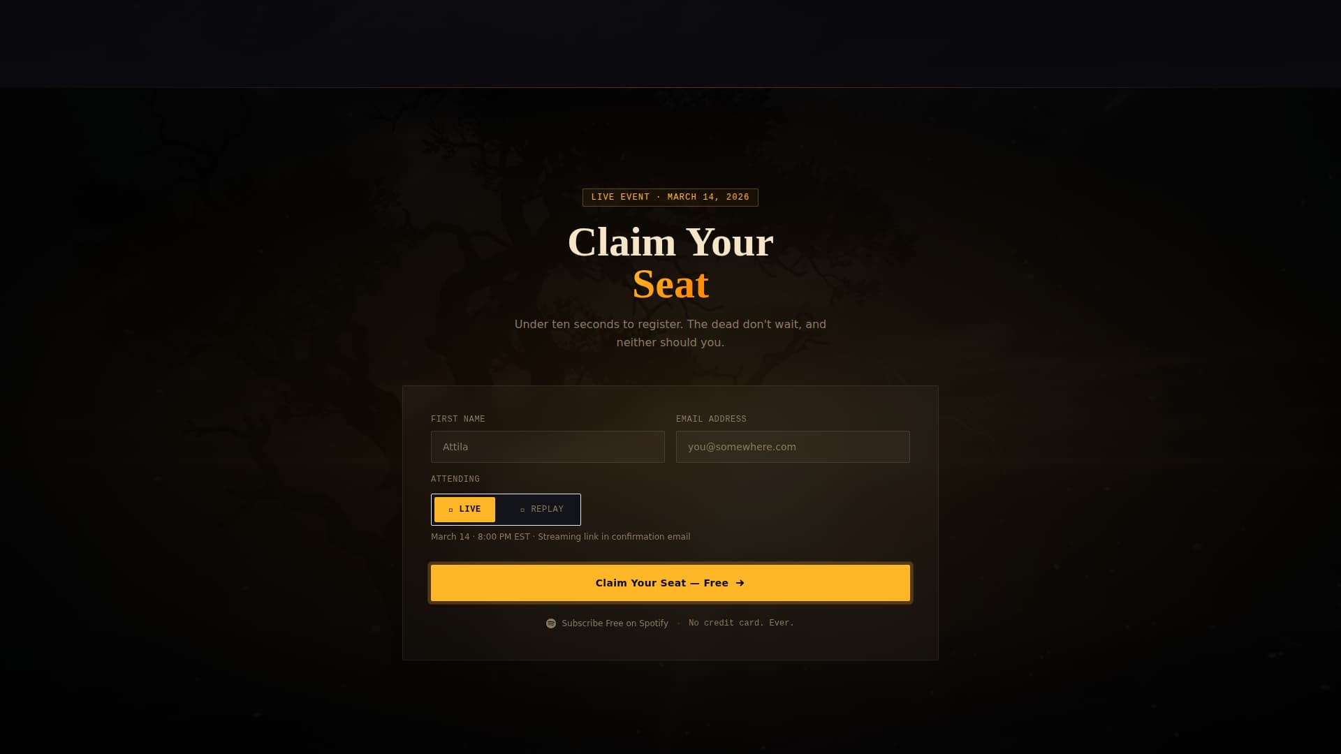 Content Creator Specialist Professional Website Template