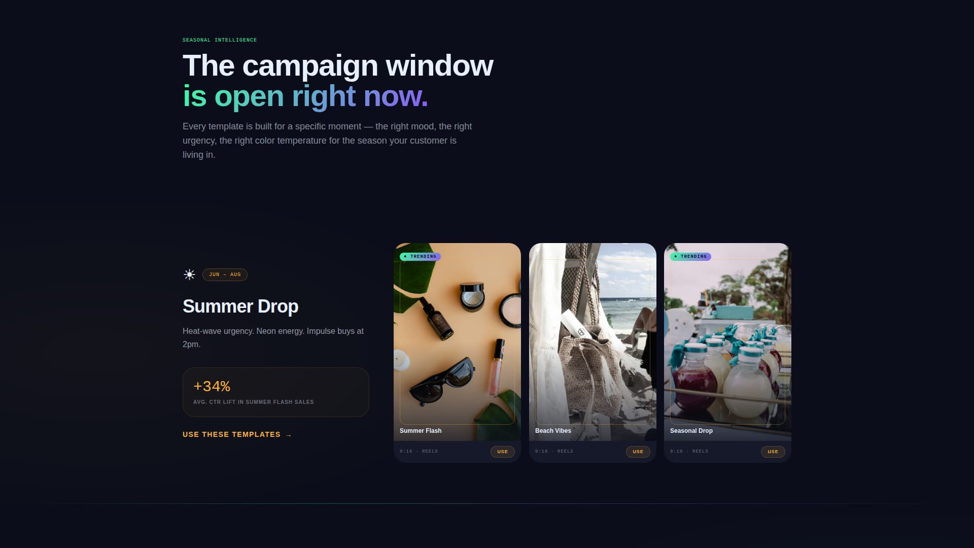 Instagram Content Professional Website Template