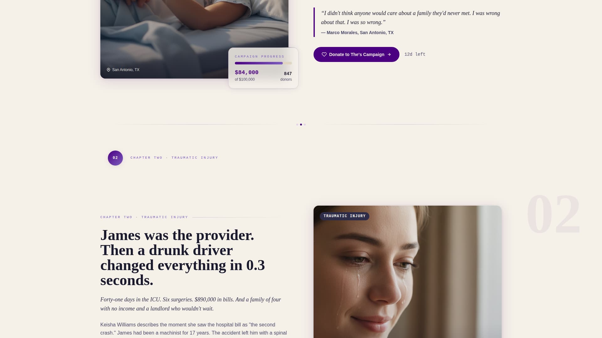 Expert Charity & Fundraiser Profile Professional Website Template