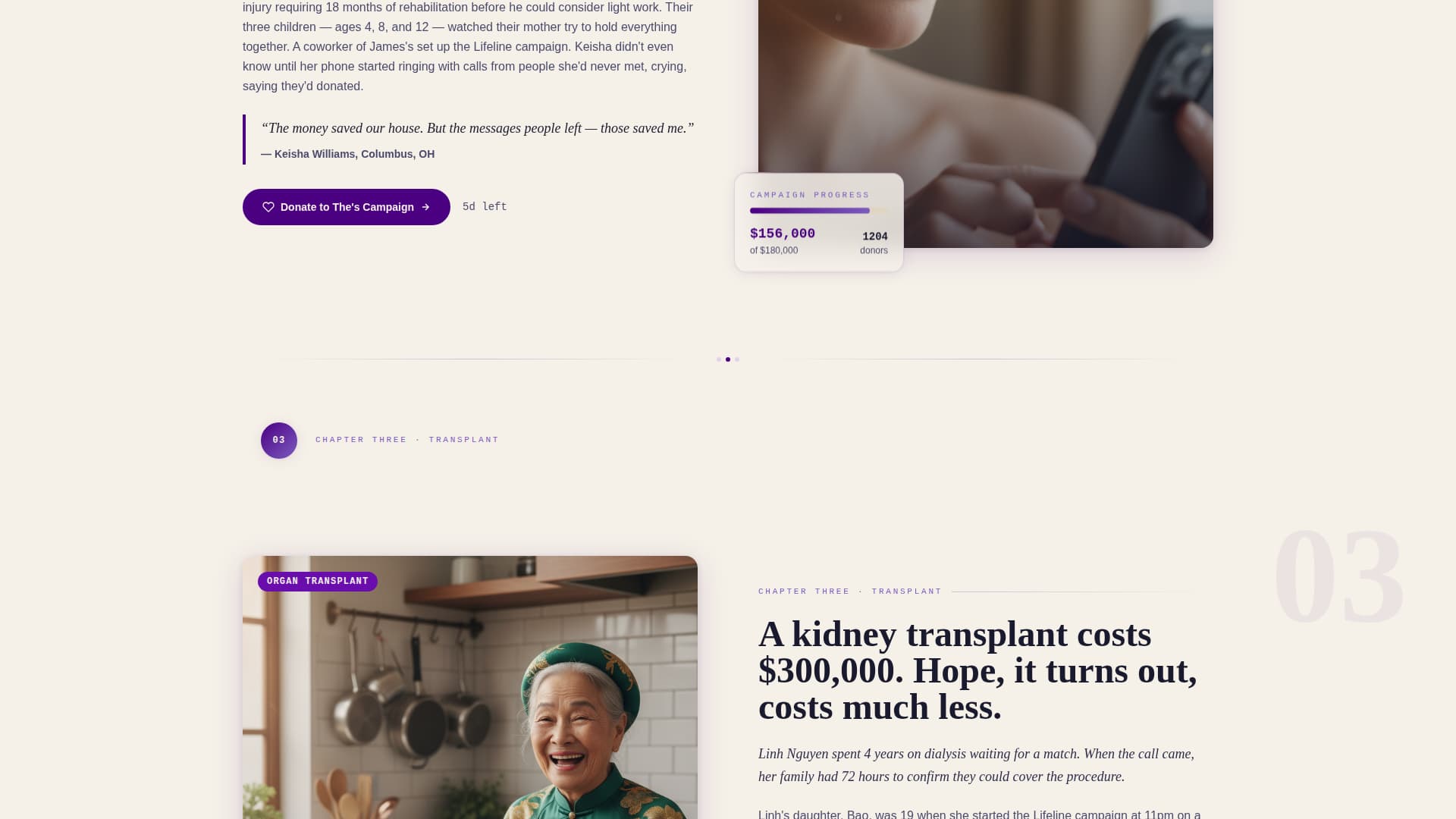Expert Charity & Fundraiser Profile Professional Website Template