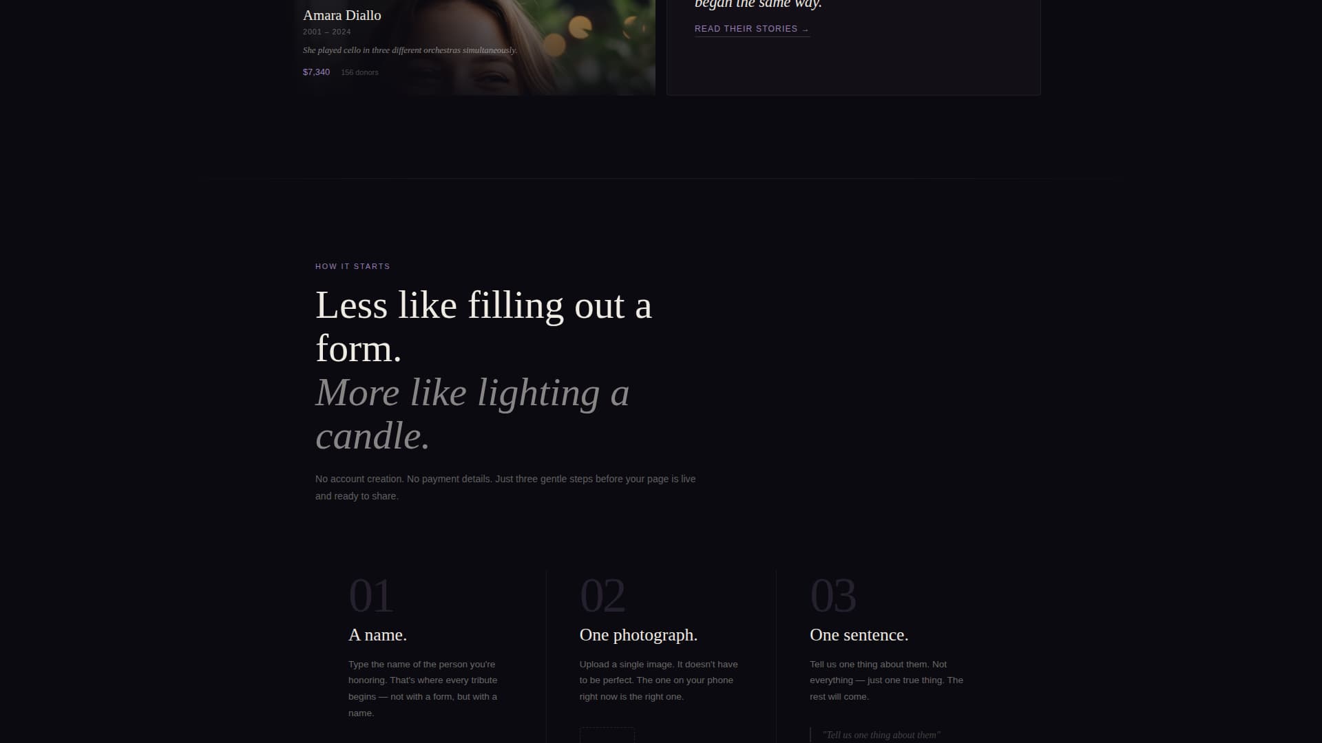 Complete Charity & Fundraiser Profile Professional Website Template