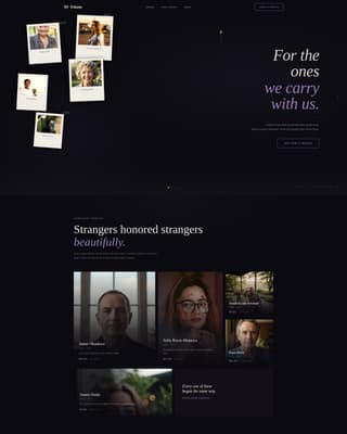 Complete Charity & Fundraiser Profile Professional Website Template