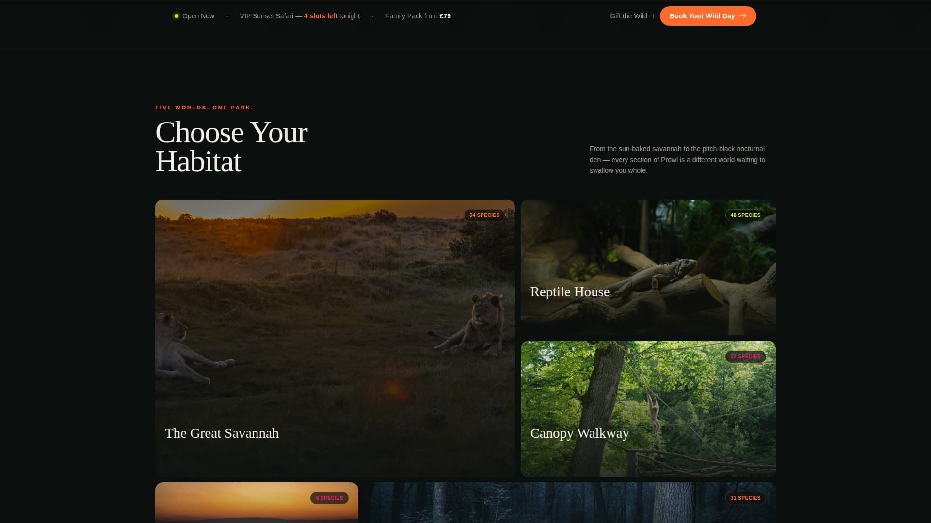 Prowl - Immersive Zoo Landing Page Template