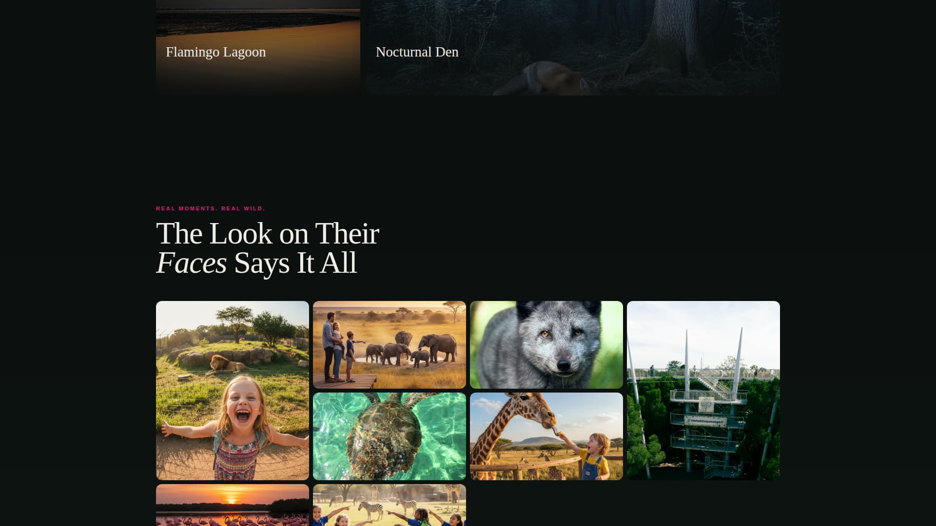 Prowl - Immersive Zoo Landing Page Template