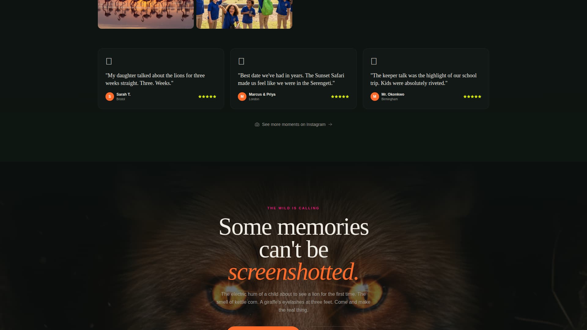 Prowl - Immersive Zoo Landing Page Template