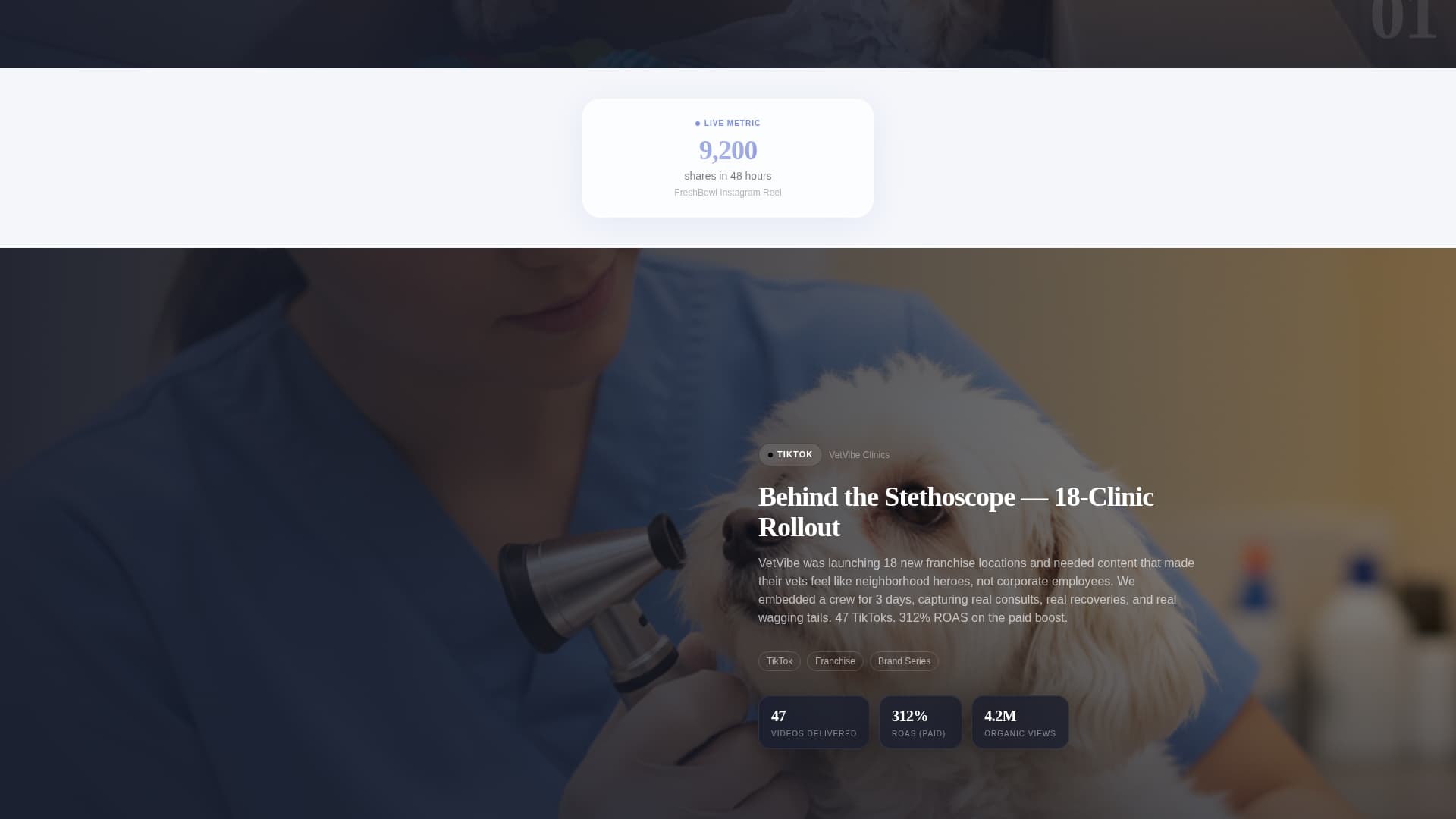Pet Care Marketing & Agency Complete Portfolio Website Template