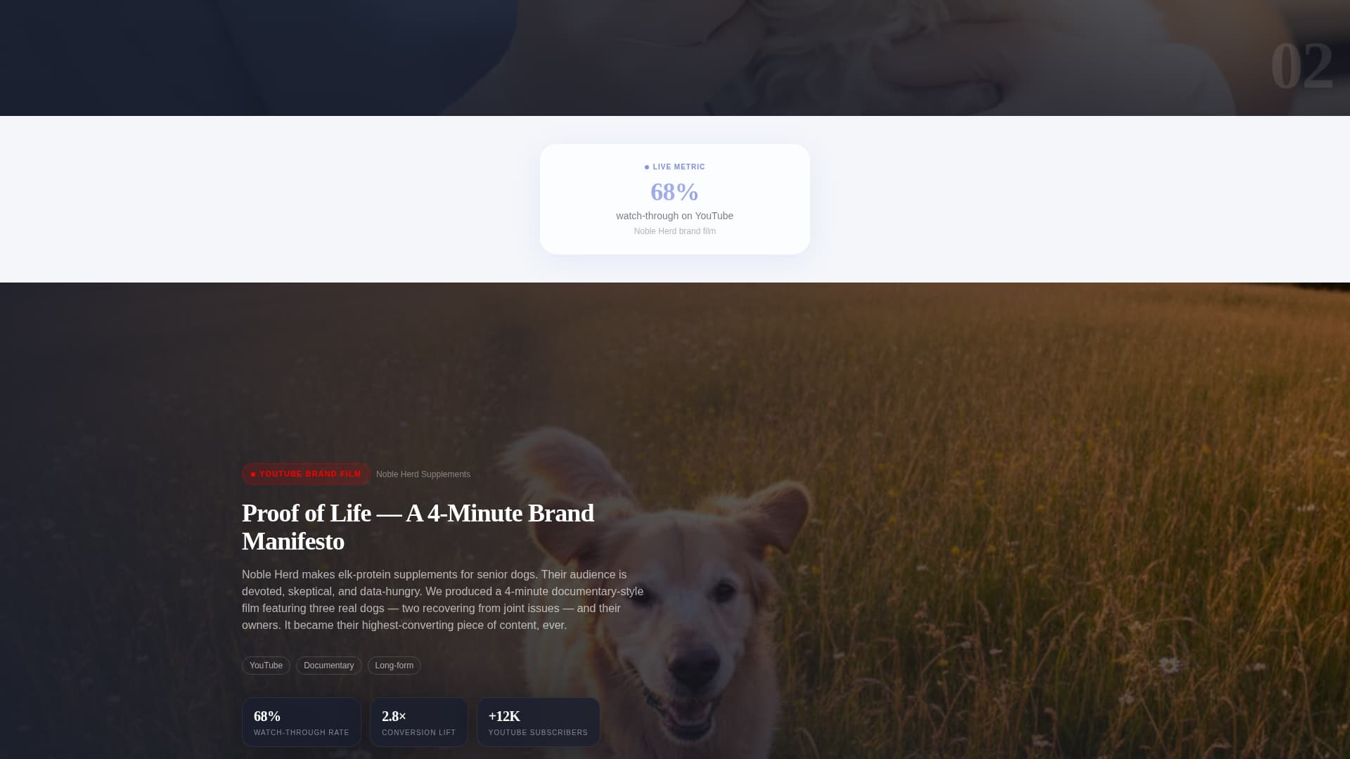 Pet Care Marketing & Agency Complete Portfolio Website Template