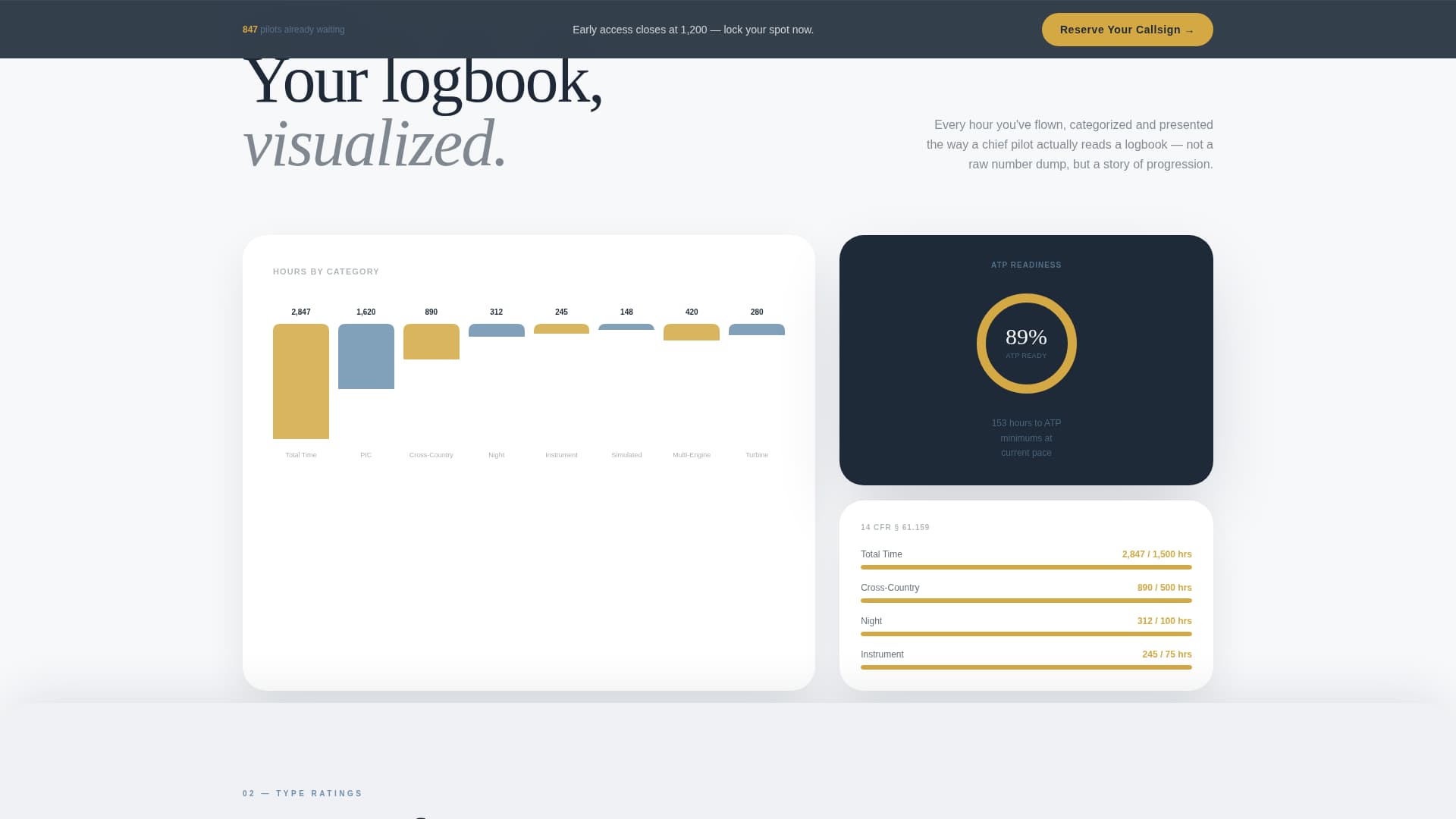 Pilot Profile Specialist Pre-Launch Website Template