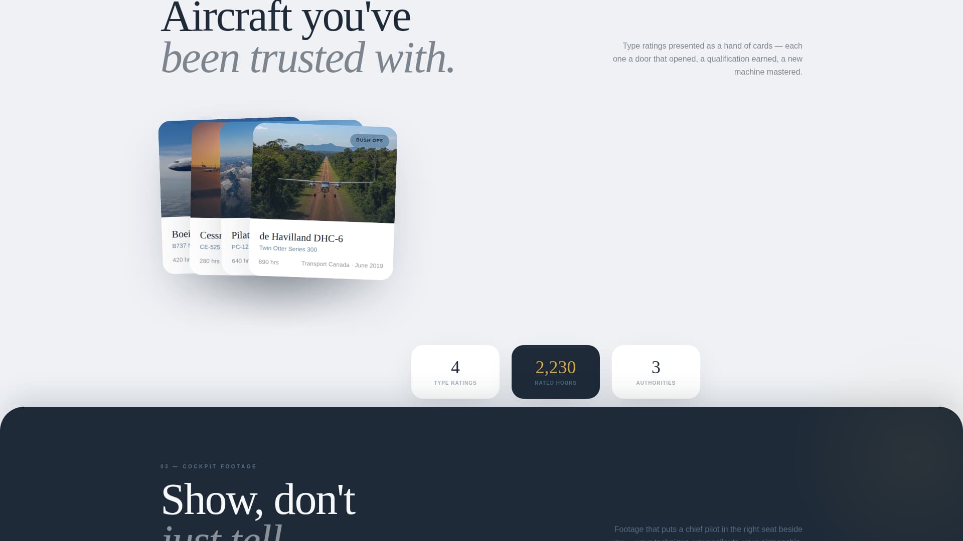 Pilot Profile Specialist Pre-Launch Website Template